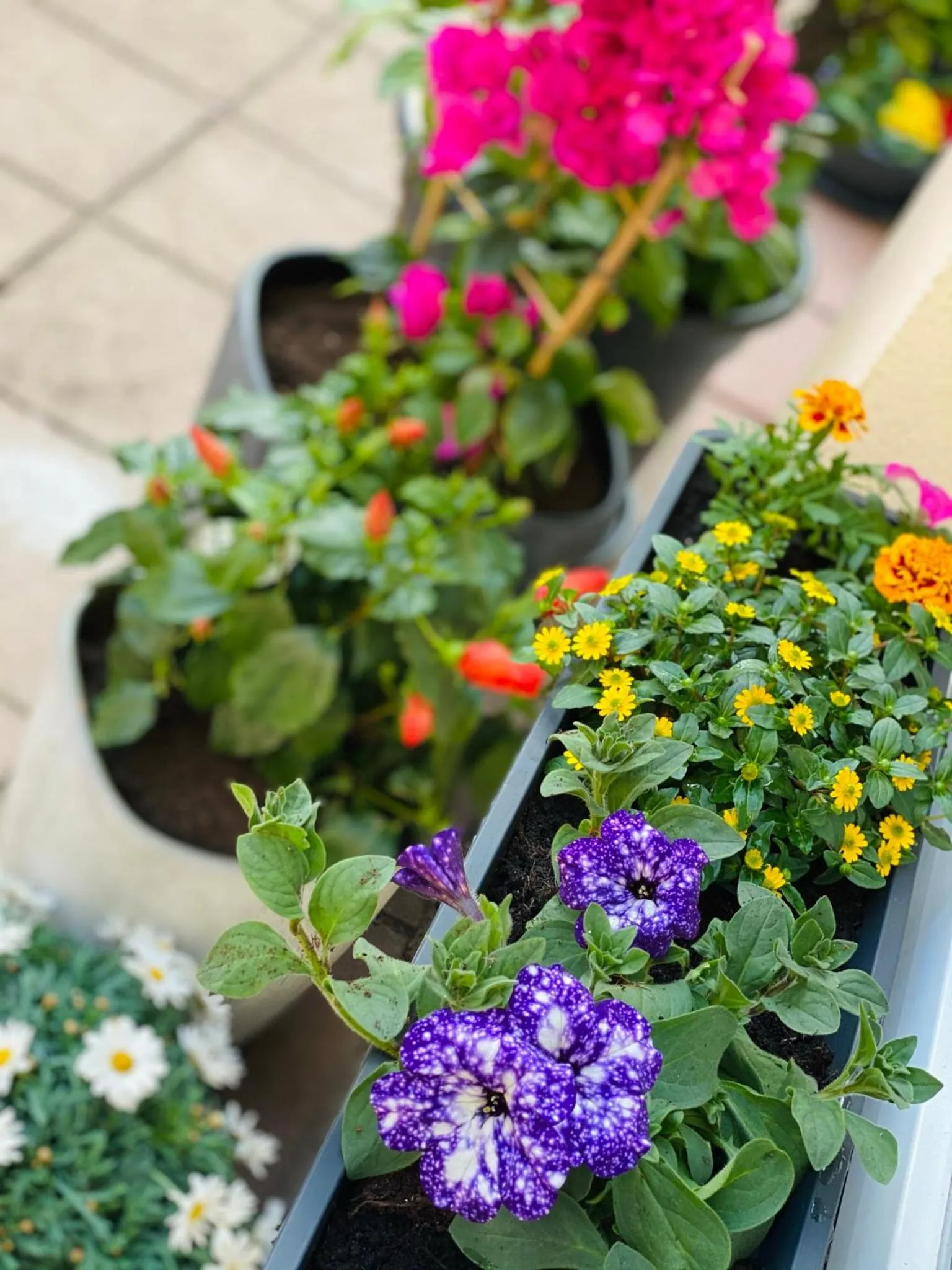 Patio in Burghotel Nürnberg