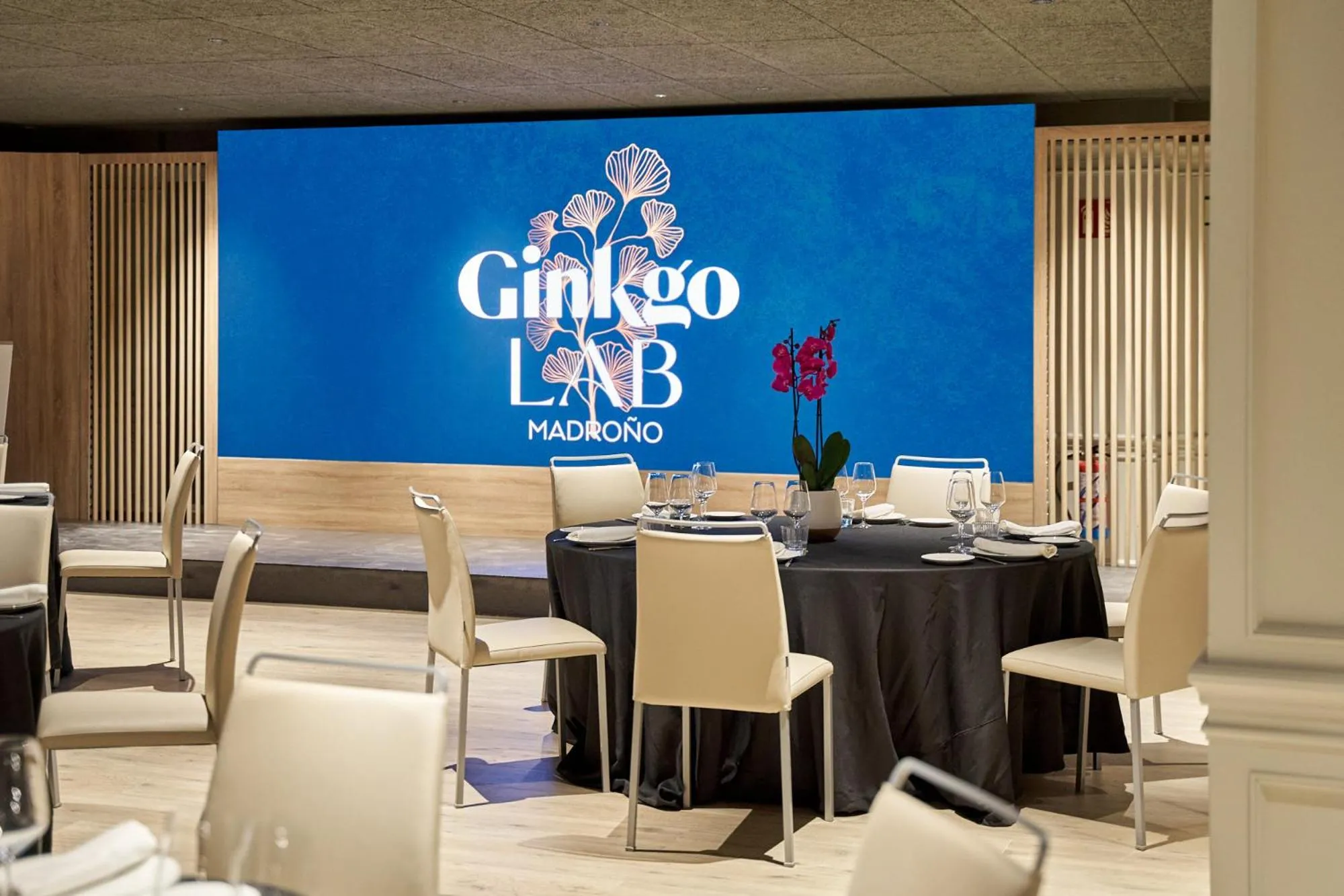 Restaurant/places to eat in VP Madroño