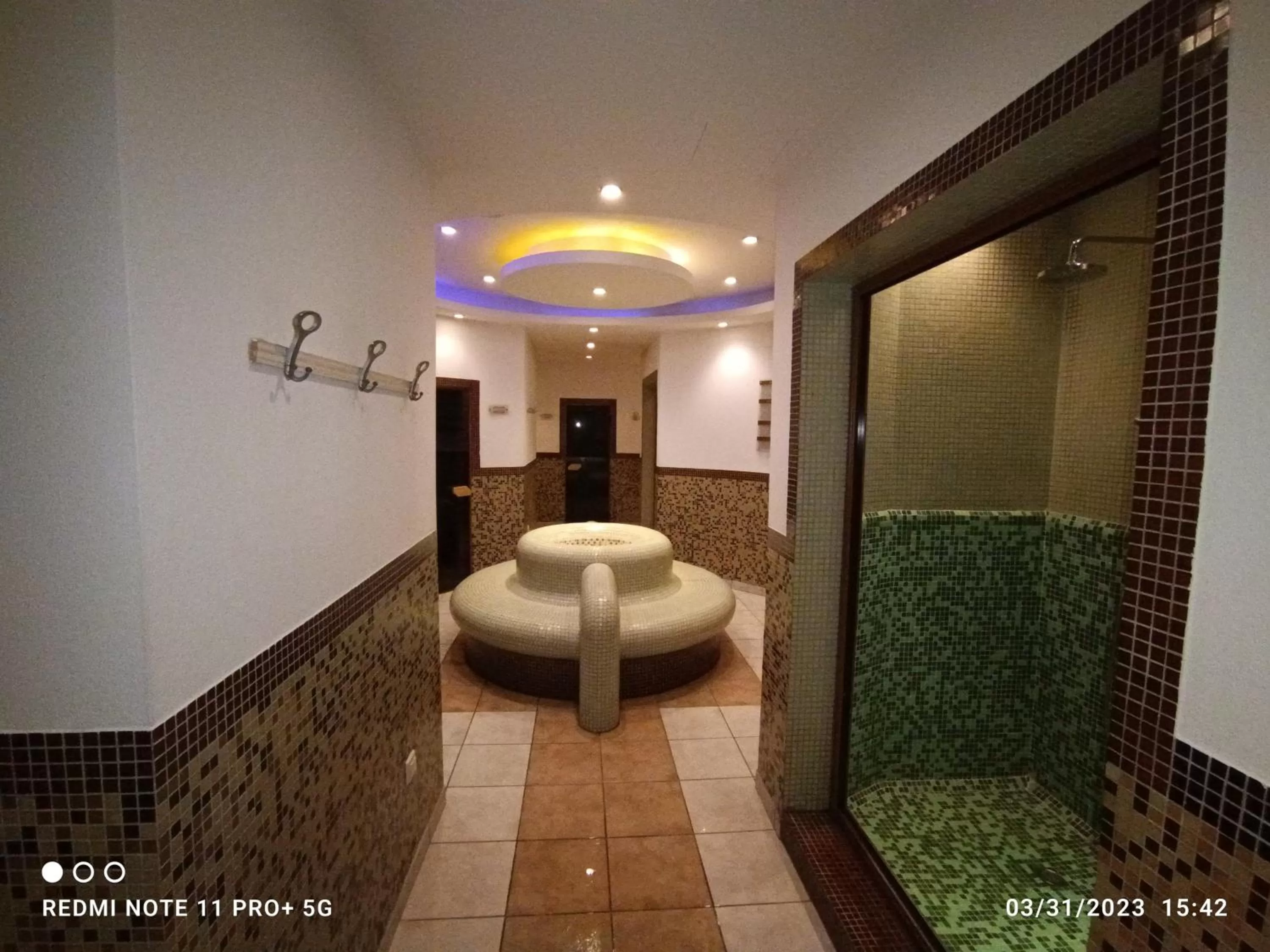 Spa and wellness centre/facilities, Bathroom in Studio D06, Green Life Bansko
