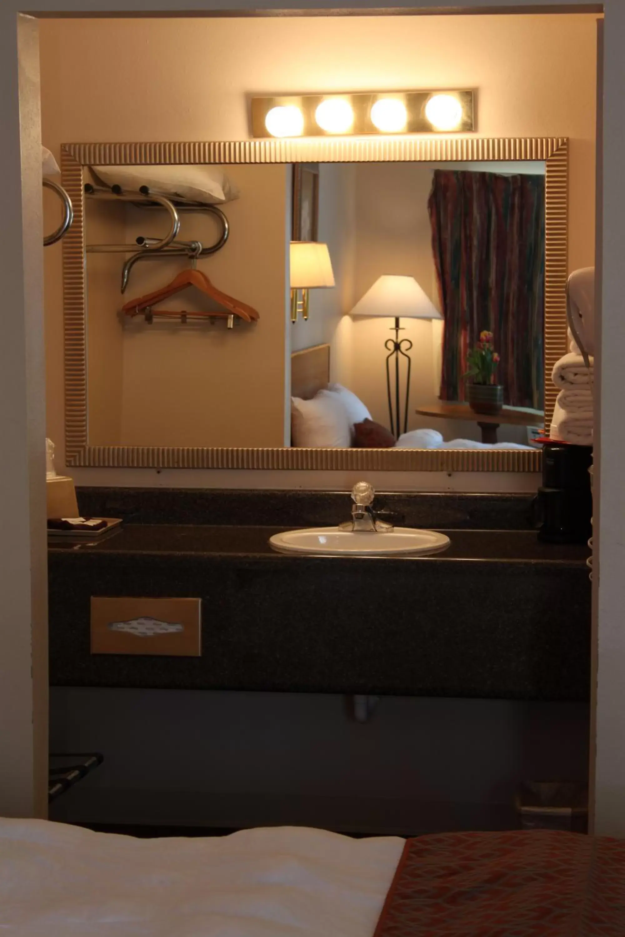 Decorative detail, Bathroom in Regency Inn Eureka Springs