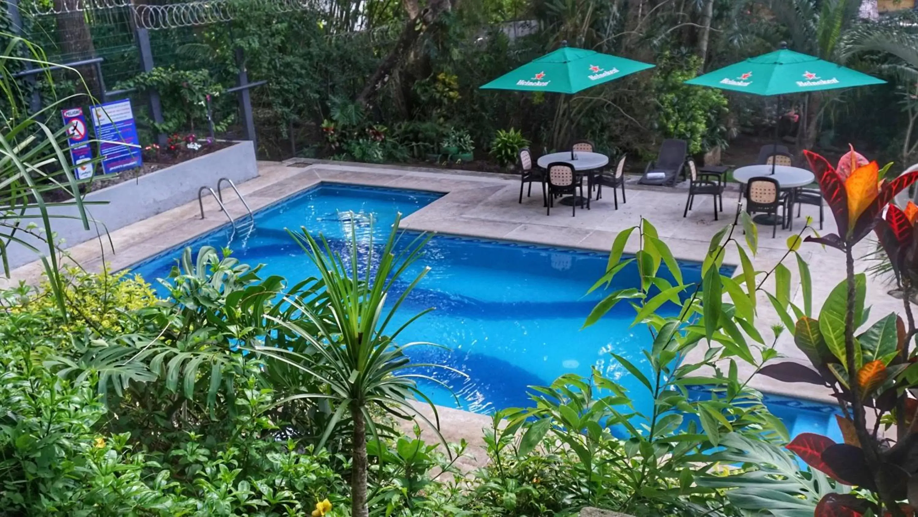 Swimming pool, Pool View in Comfort Inn Córdoba