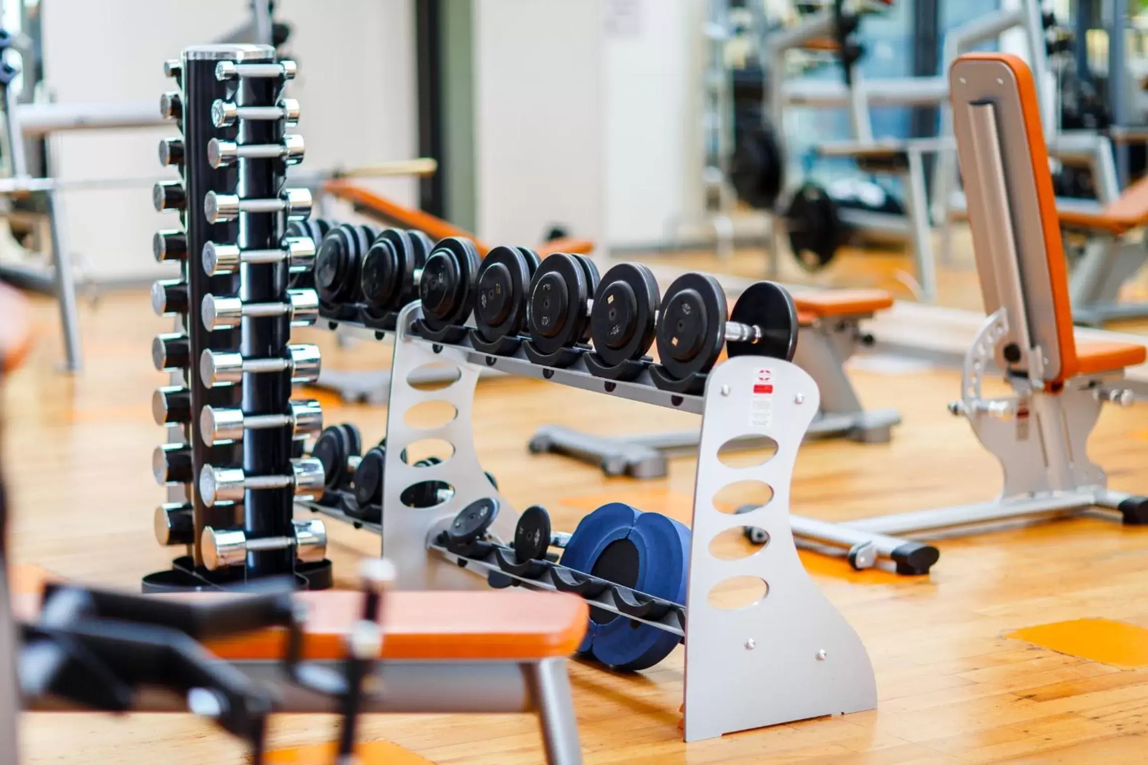 Fitness centre/facilities, Fitness Center/Facilities in Hotel Bleichibeiz