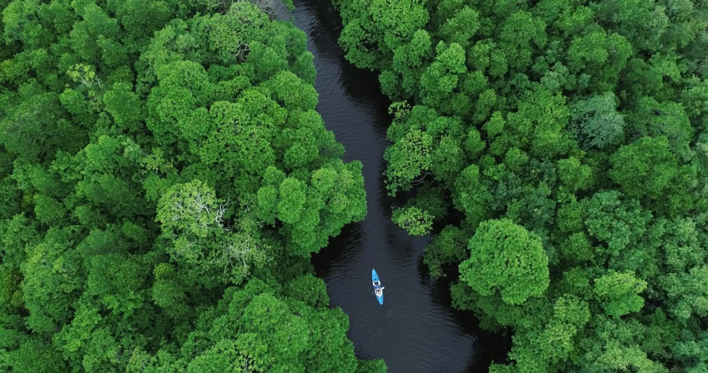 Natural landscape in Song Saa Private Island