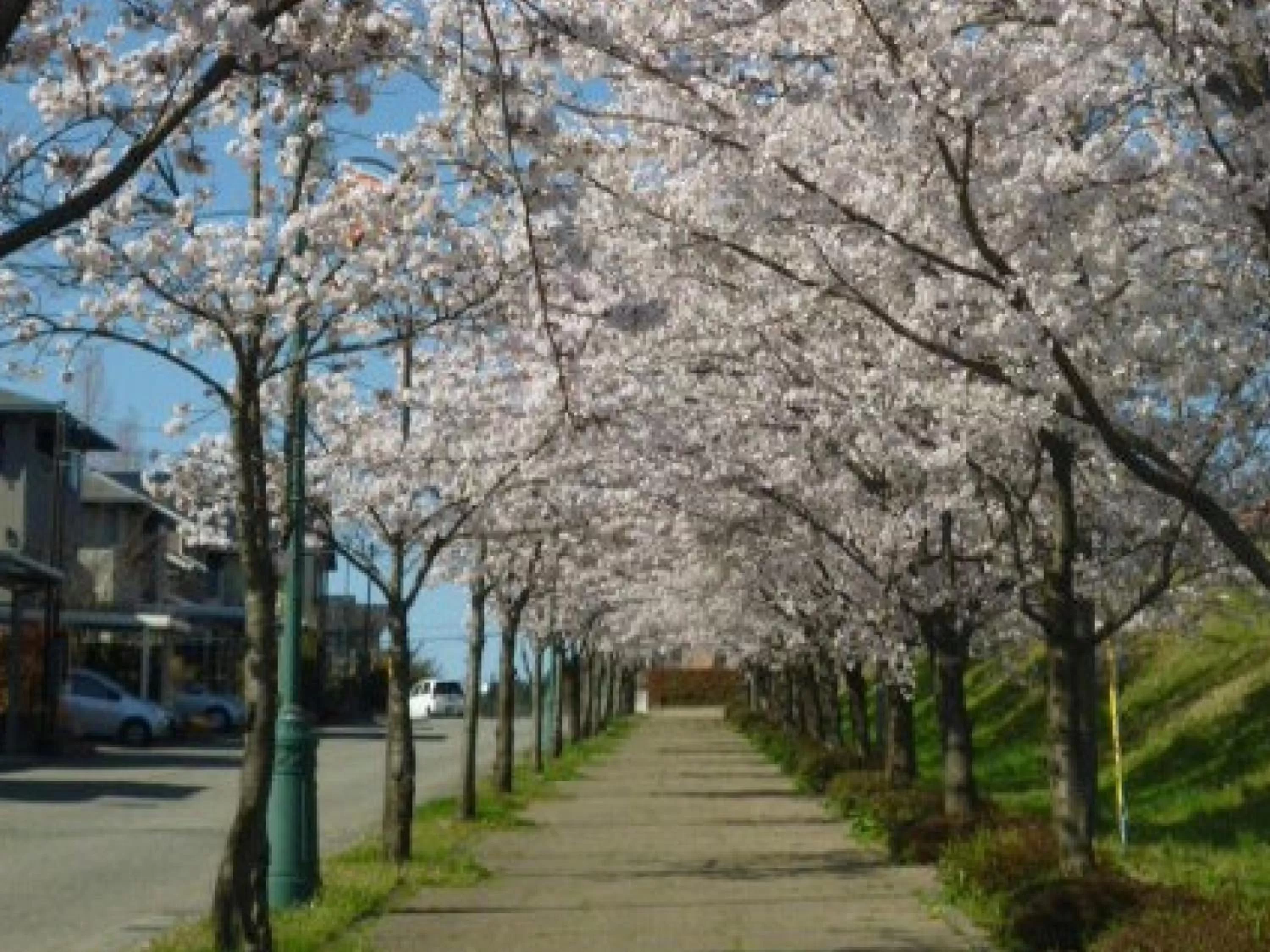 Nearby landmark in Hotel Wing International Premium Kanazawa Ekimae