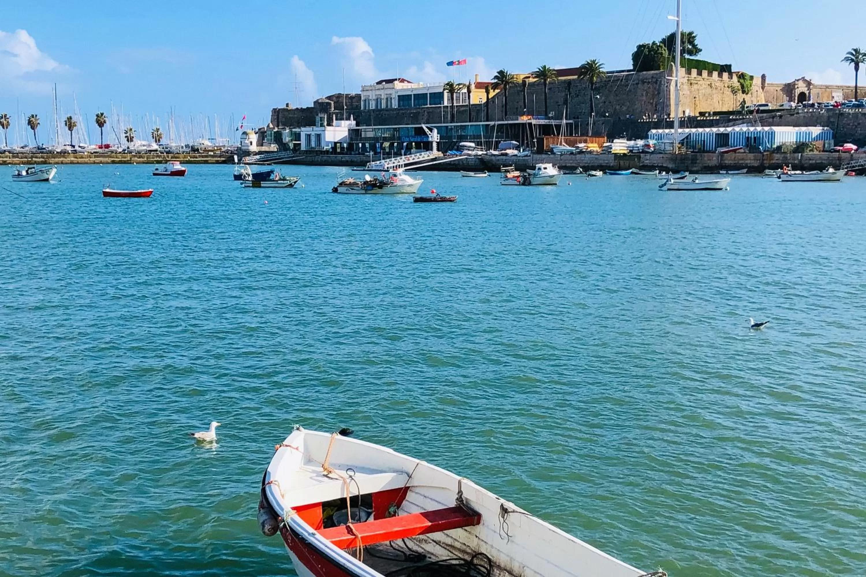Nearby landmark in Amazonia Estoril Hotel