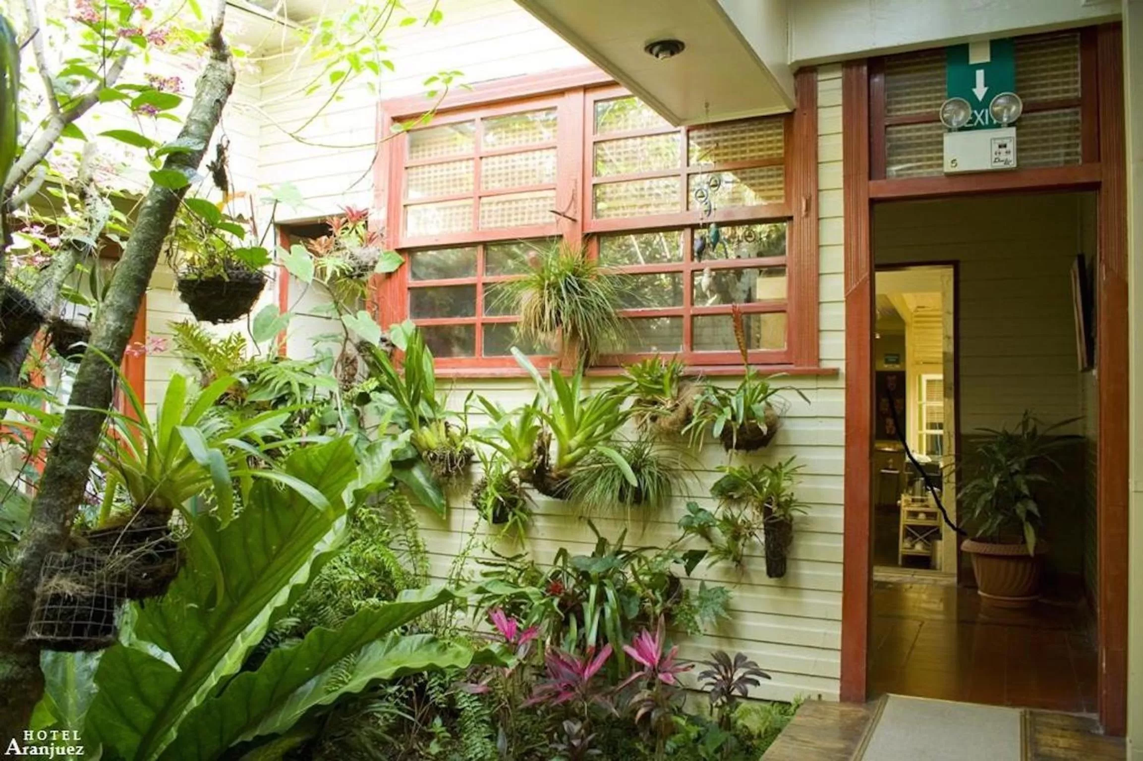 Garden in Hotel Aranjuez