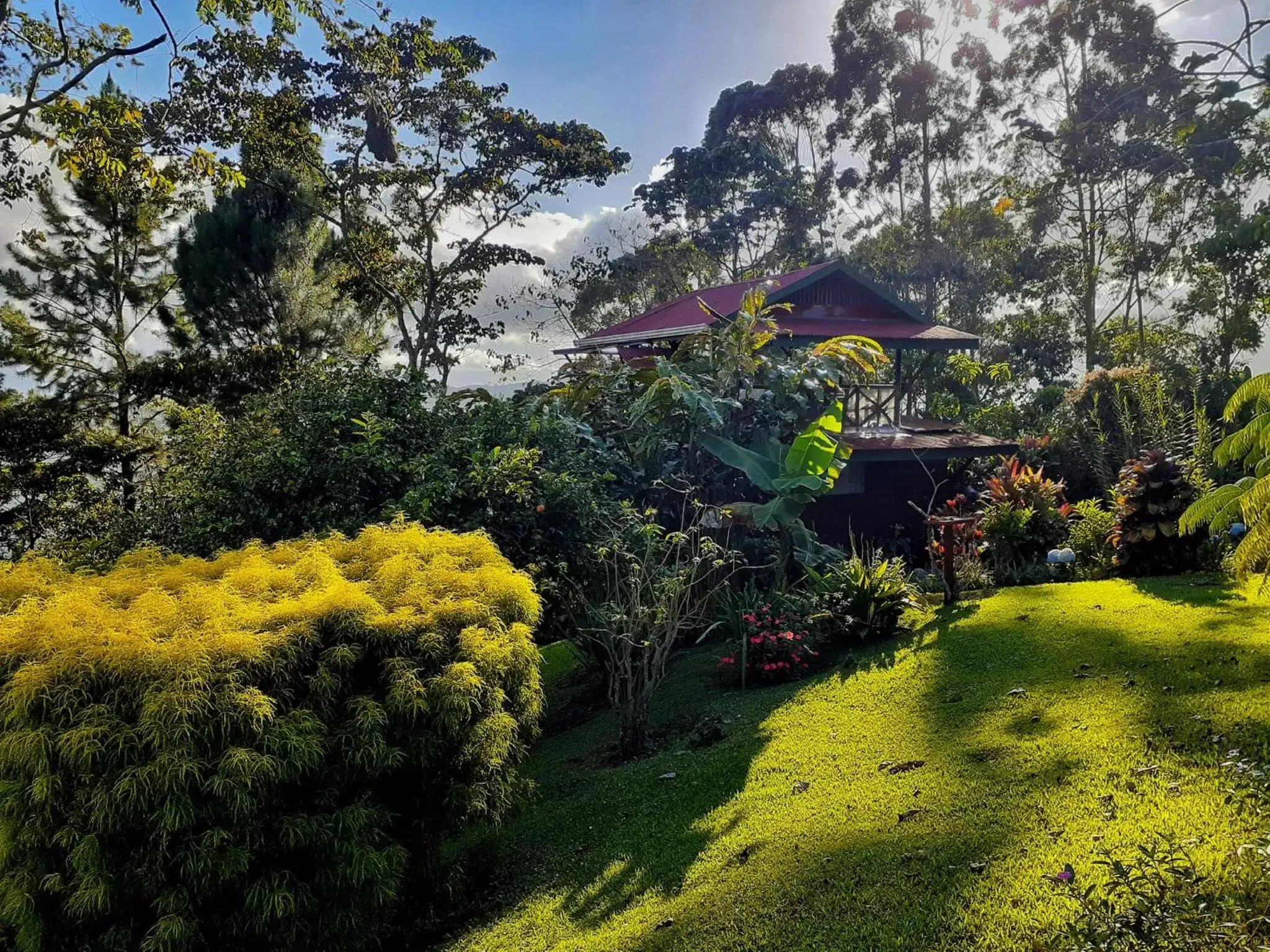 Natural landscape in Vista Turrialba Lodge