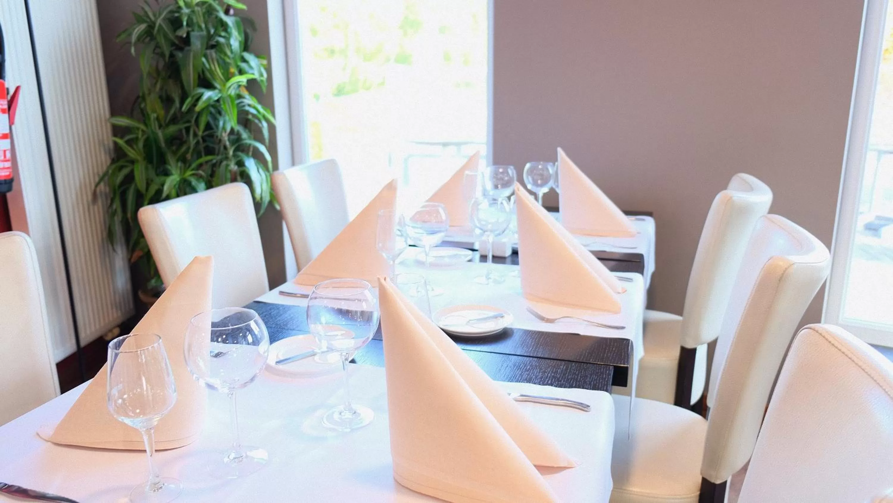 Lunch in Ibis Styles Charleroi Airport Aero 44