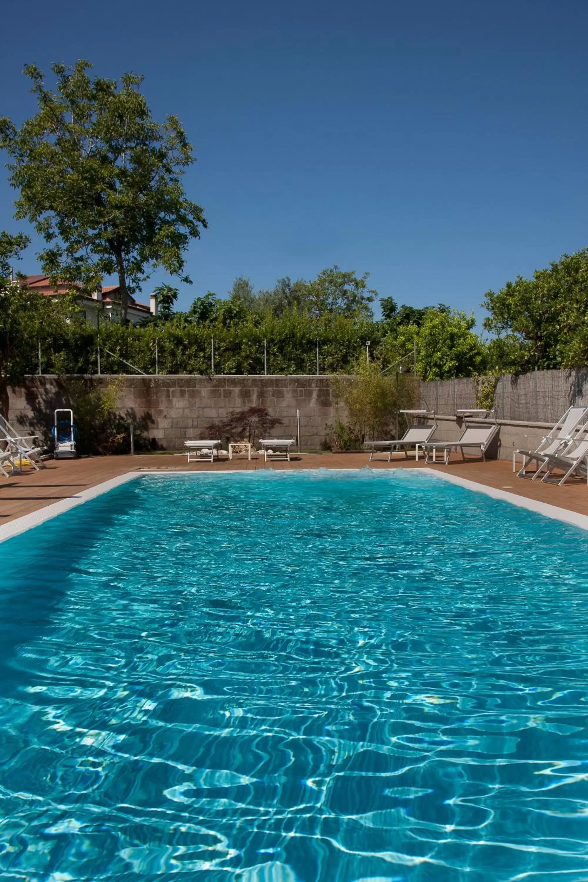 Swimming Pool in Il Roseto