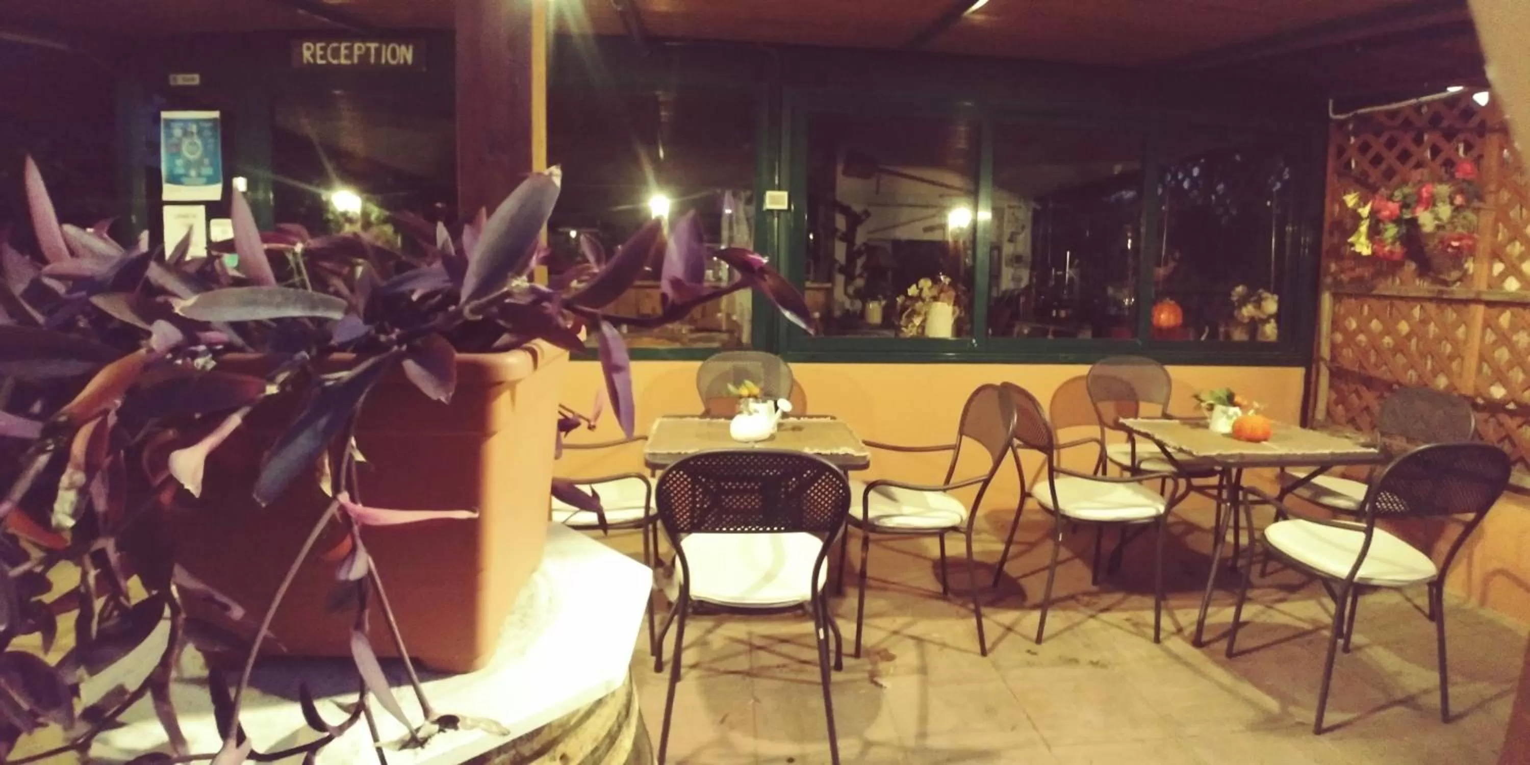 Breakfast in La Piana degli Ulivi