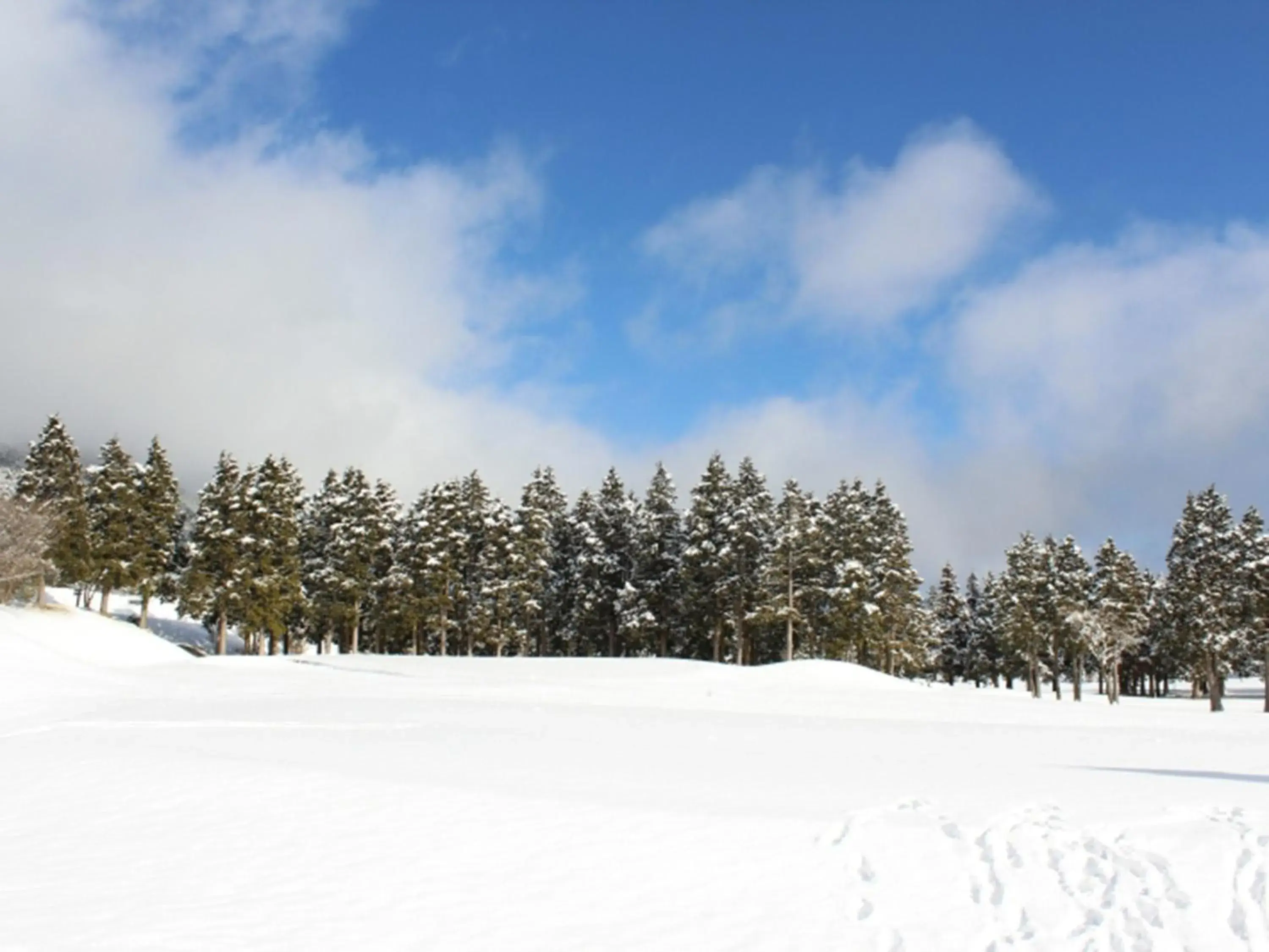 Winter in Hakone Yunohana Prince Hotel