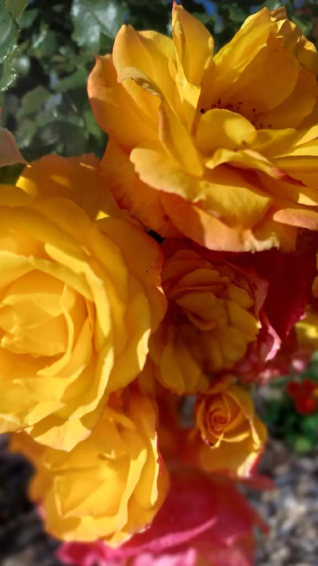 Le Mas de la Rocherie Chambre d'hôtes "Référence"