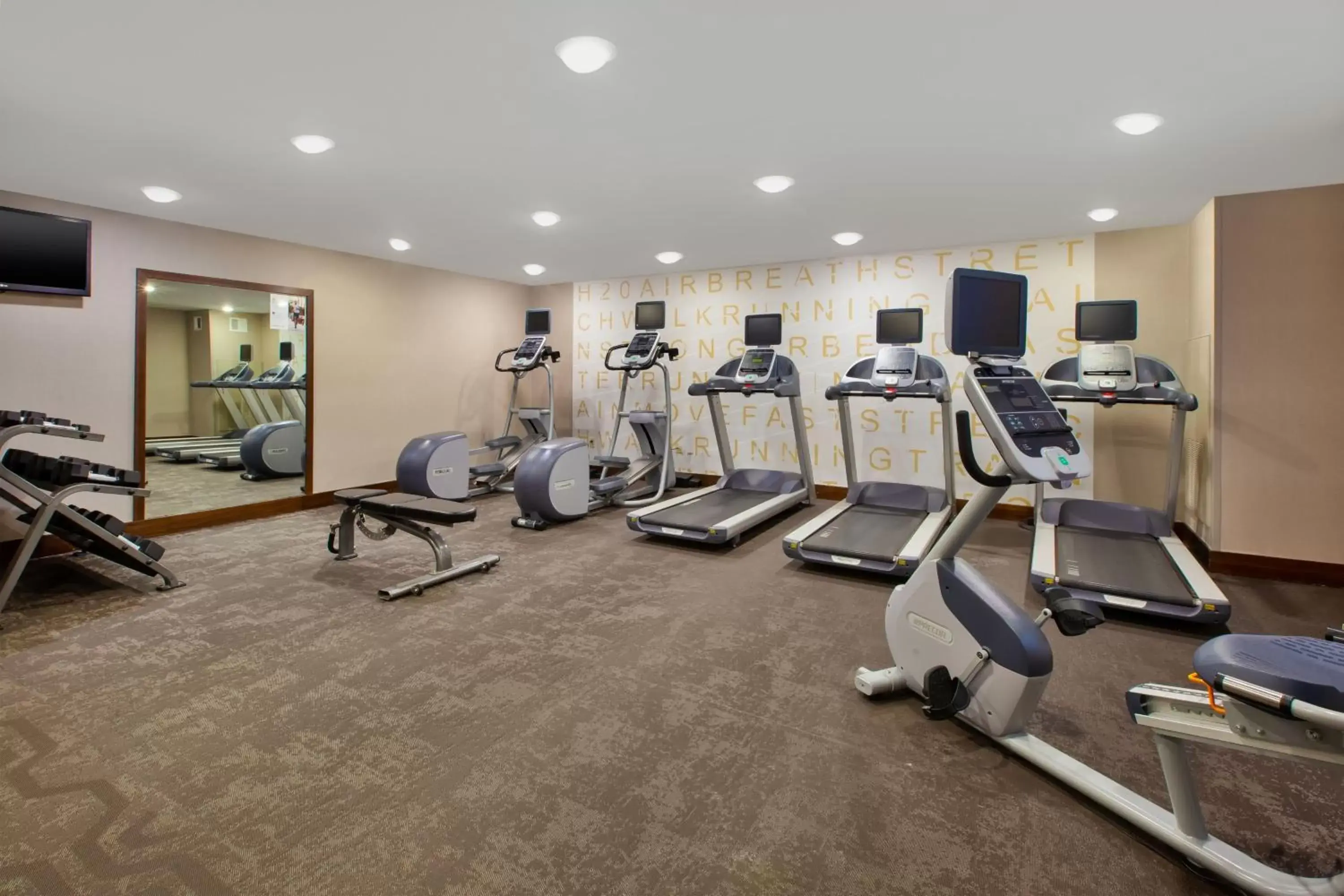 Fitness centre/facilities, Fitness Center/Facilities in Residence Inn by Marriott Ann Arbor North