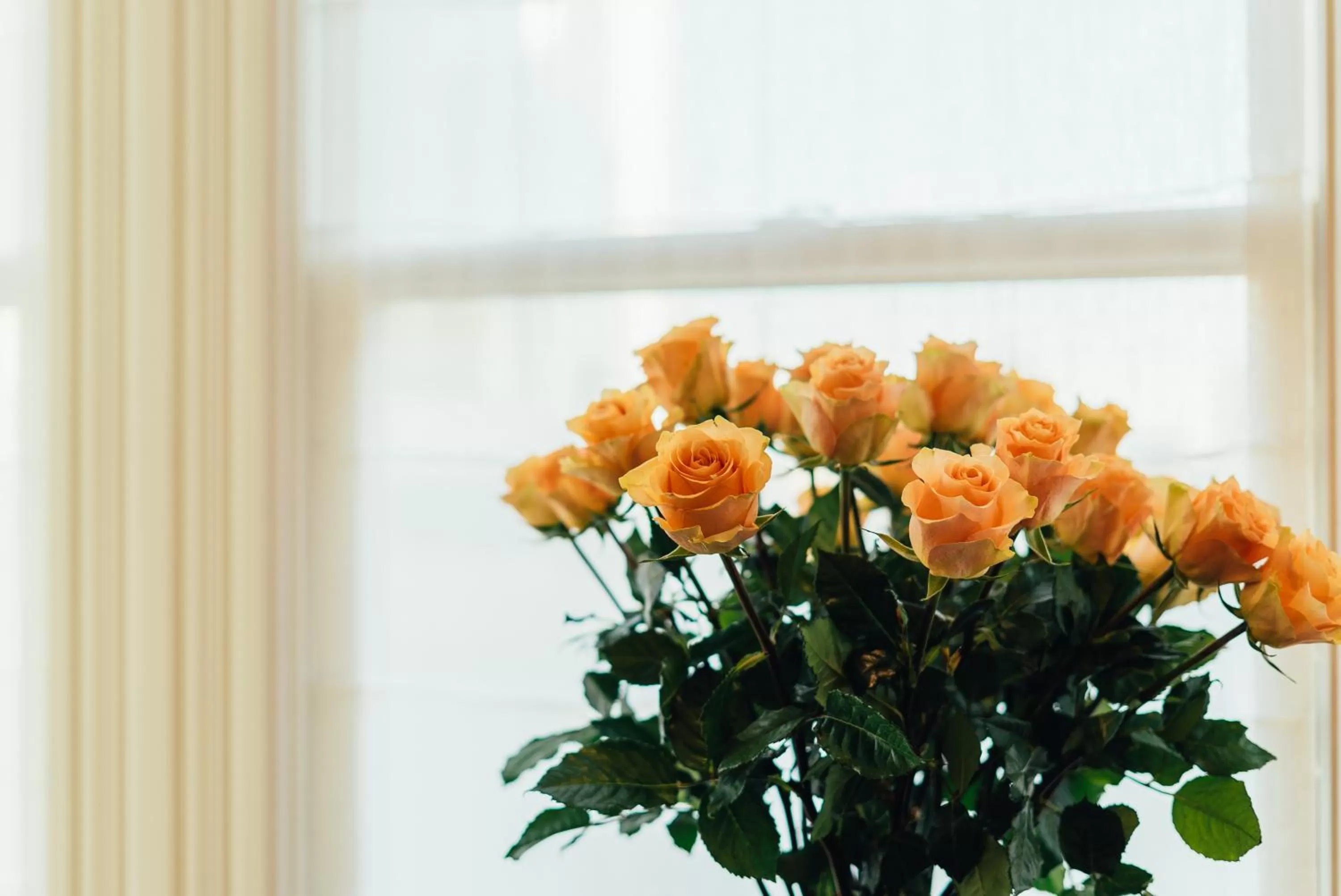 Neighbourgood Sutter Mansion