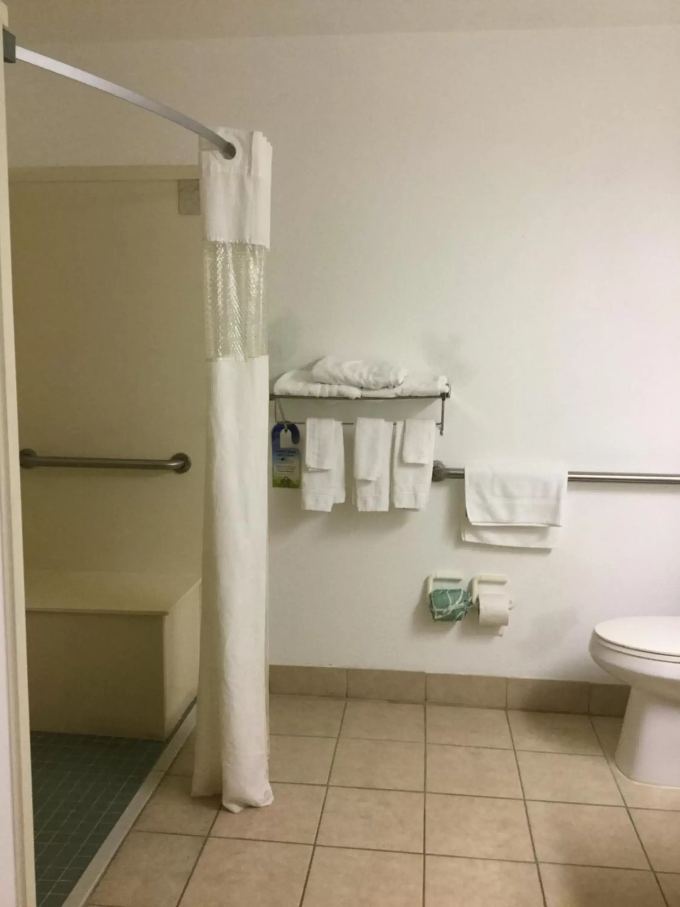 Shower, Bathroom in Days Inn by Wyndham Lake Village