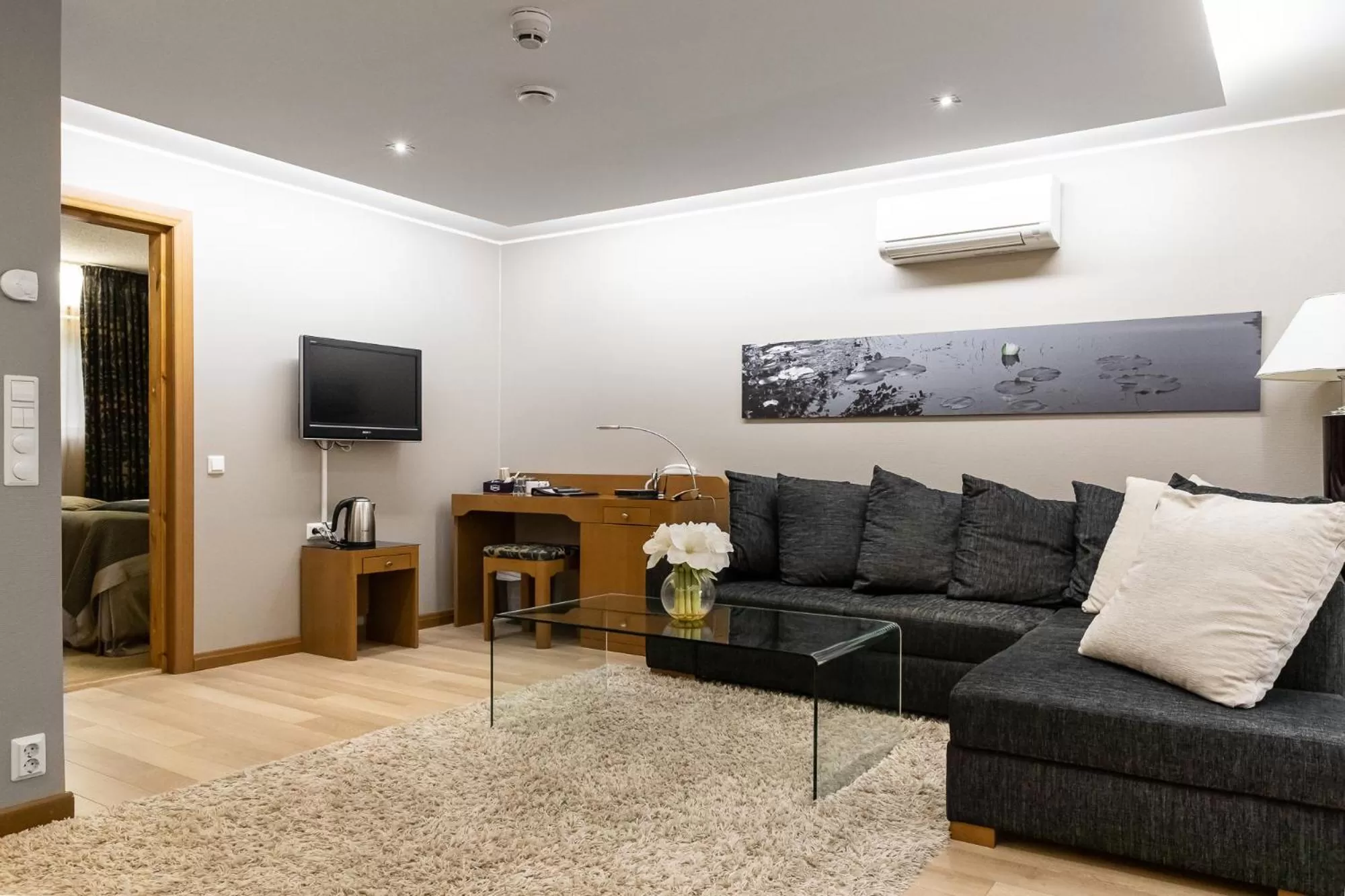 TV and multimedia in Hotel Aateli Lakeside