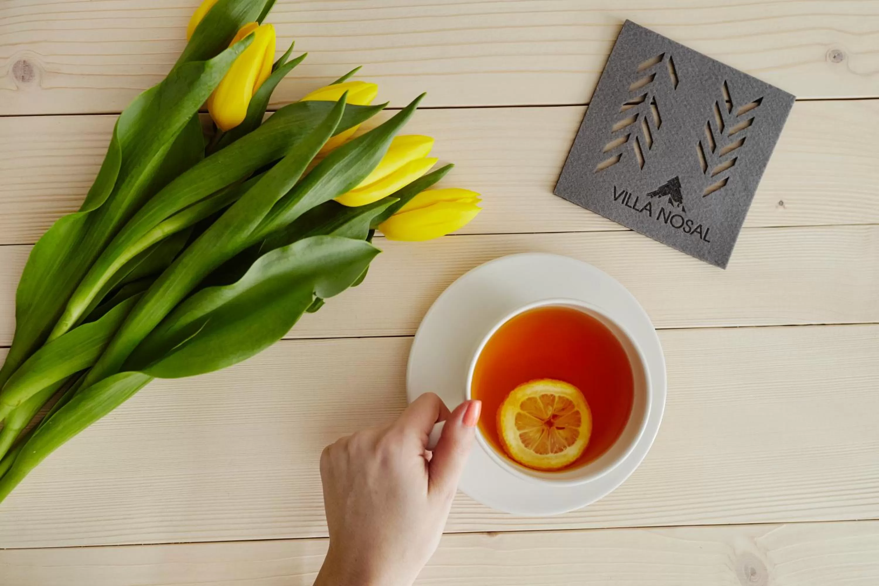 Property logo or sign in VILLA NOSAL - Zakopane