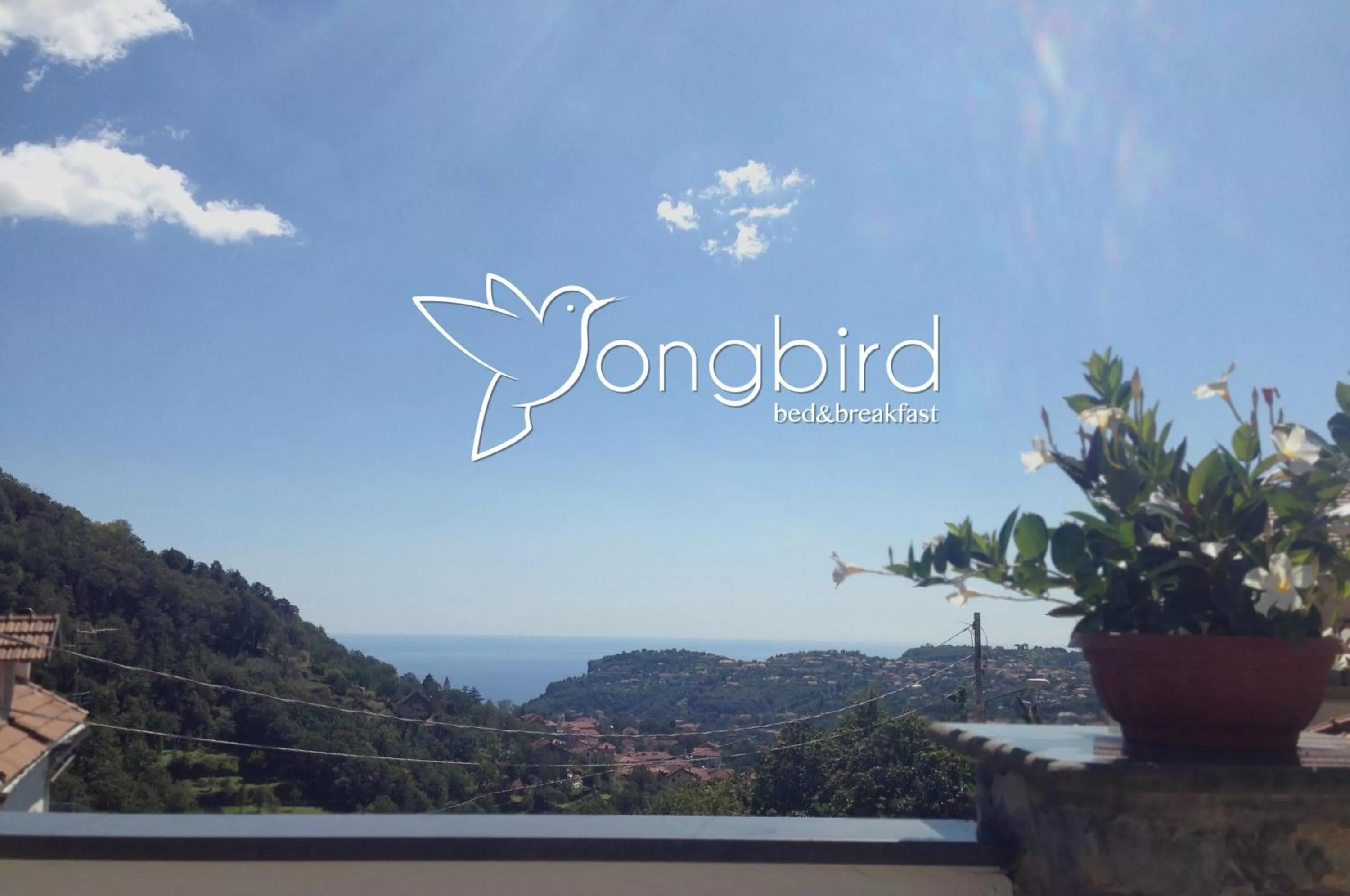 City view in Songbird