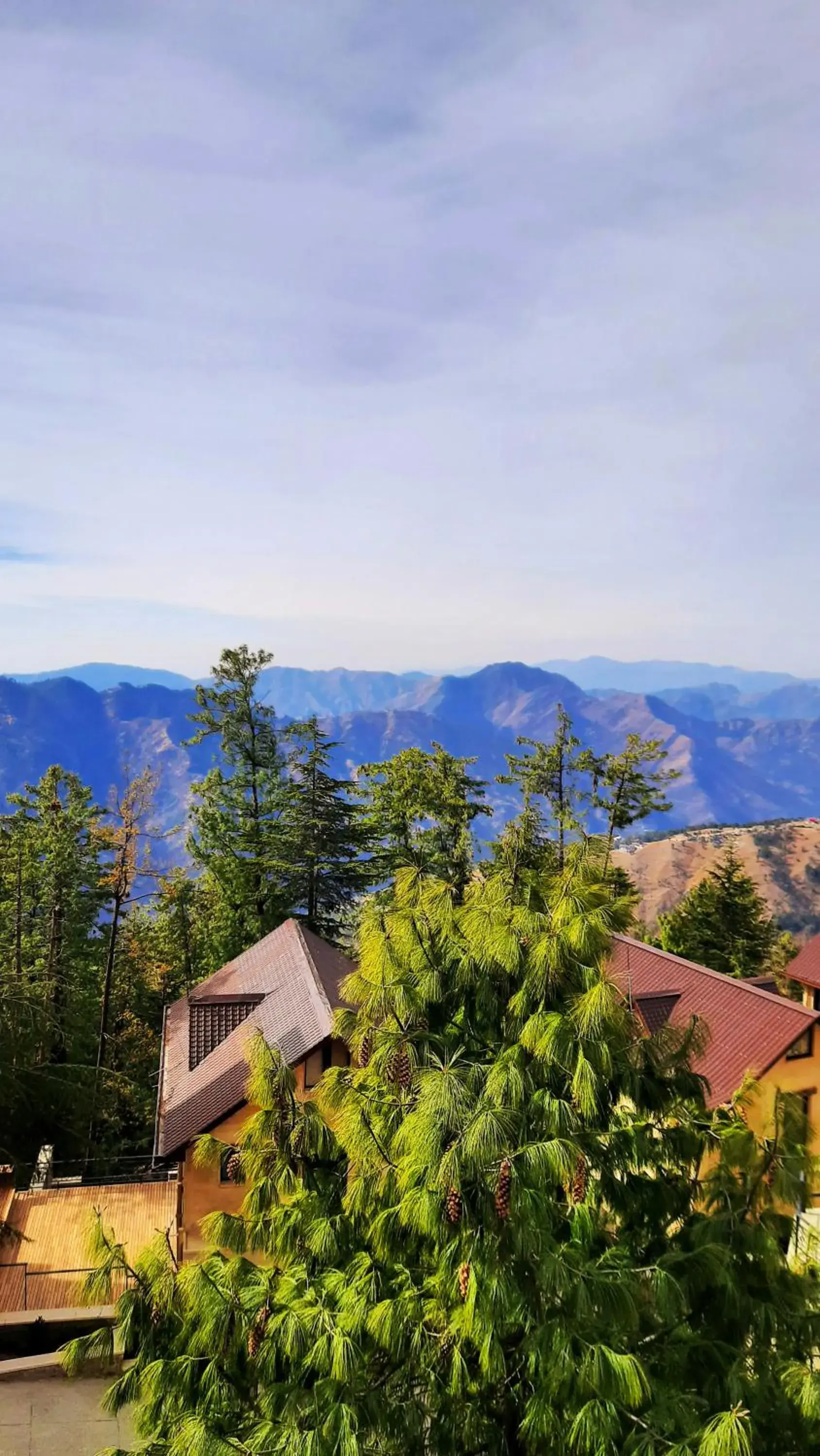 Bird's eye view, Bird's-eye View in Marigold Sarovar Portico Shimla