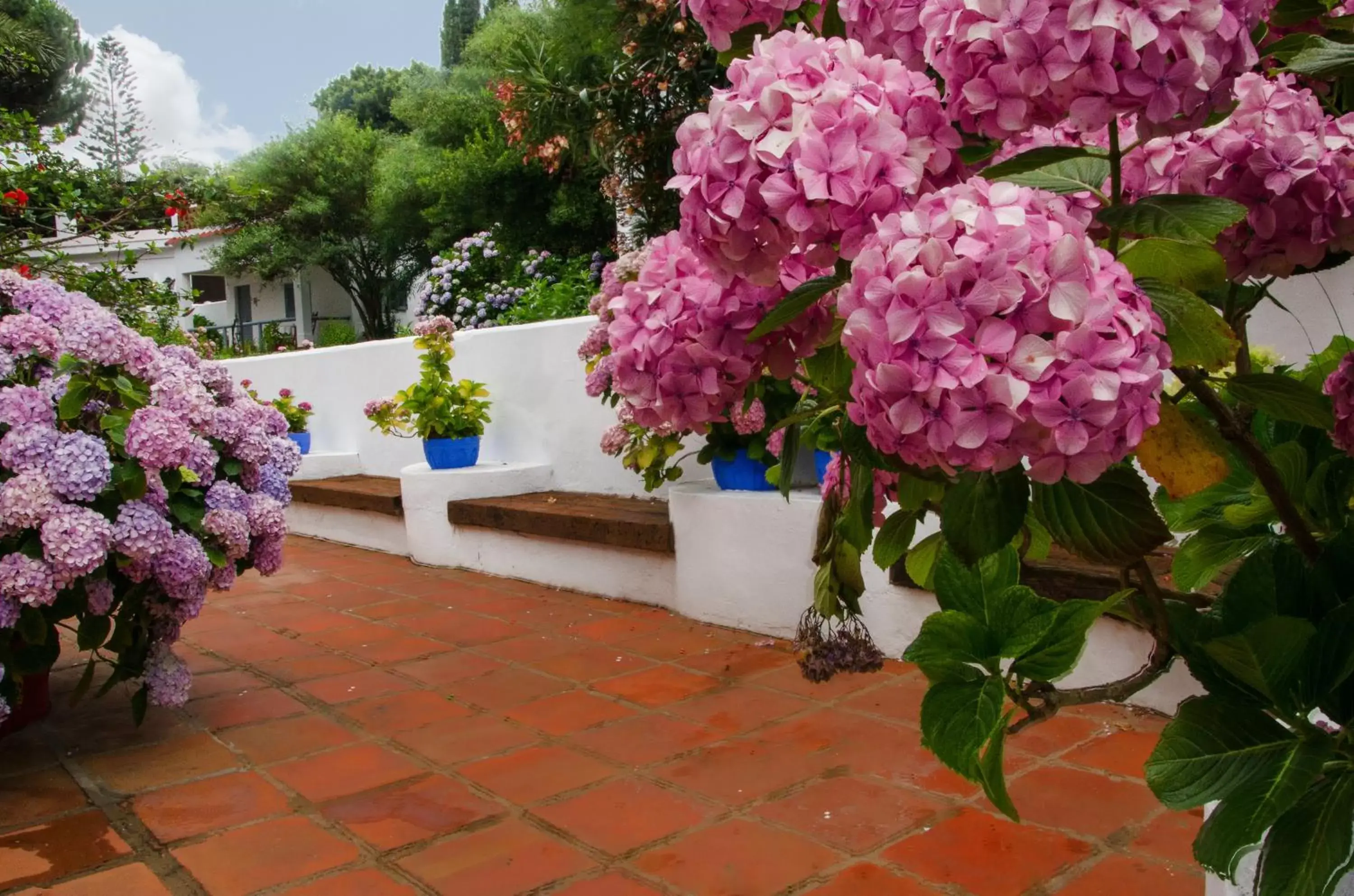 Balcony/Terrace in Mesón de Sancho