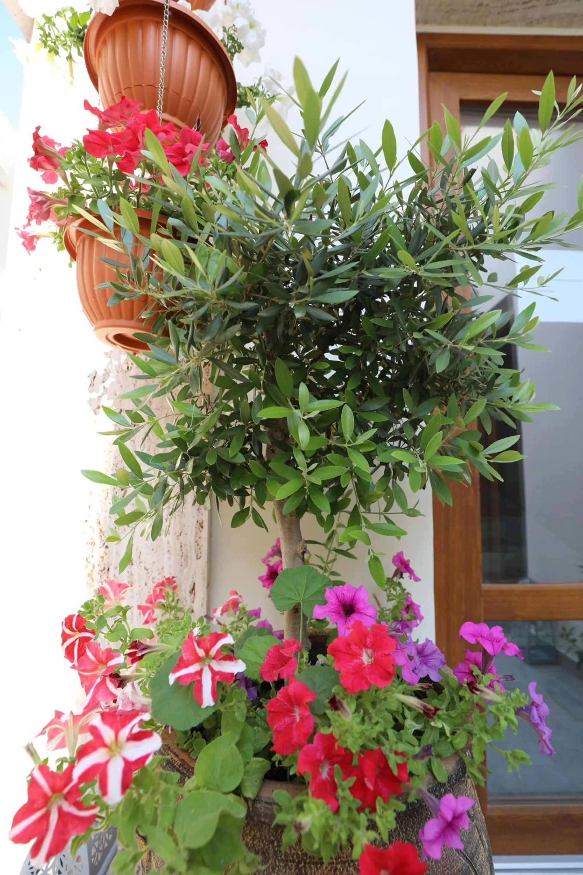 Dimitra Boutique Hotel