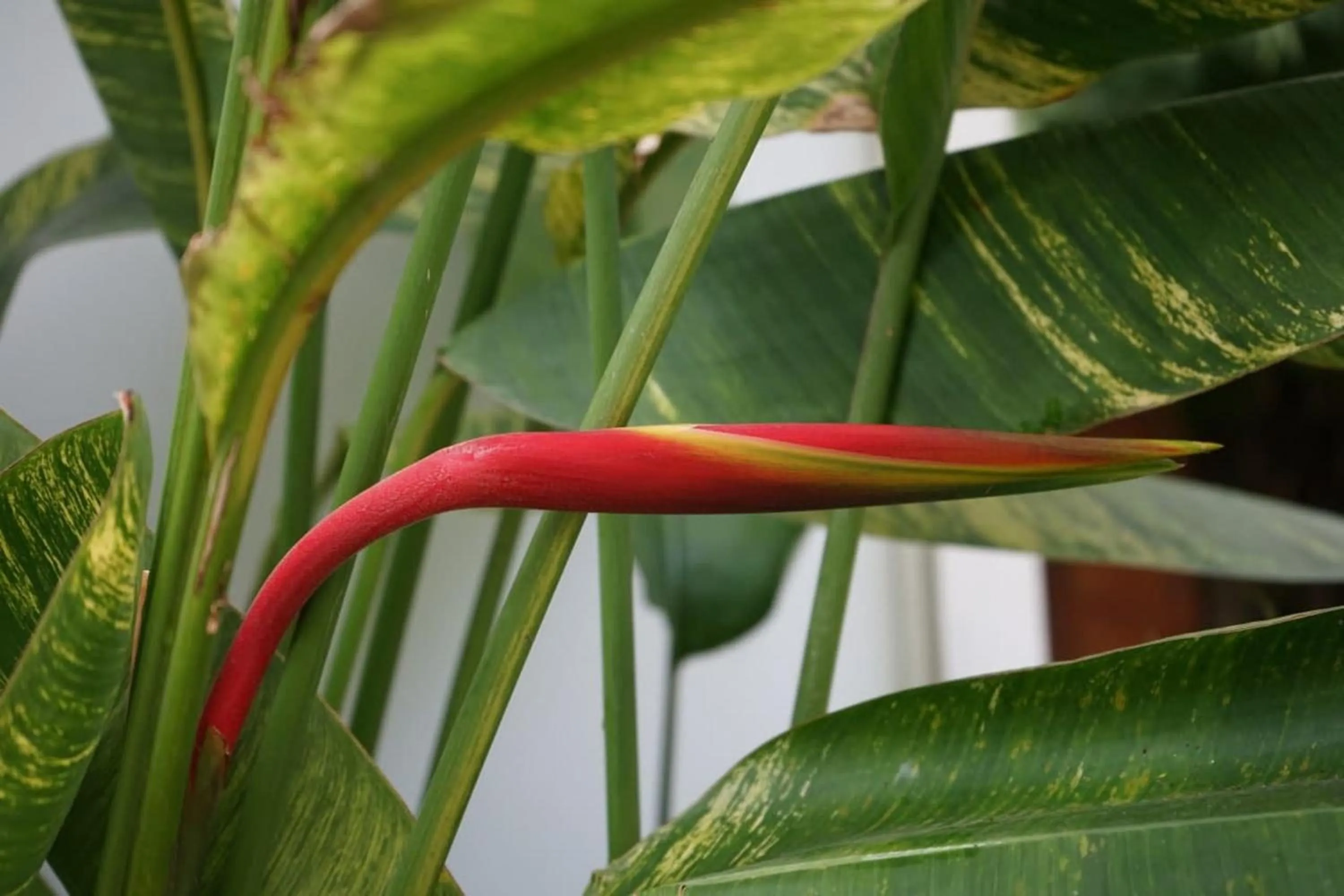 Game Room in Vimean Sovannaphoum Resort