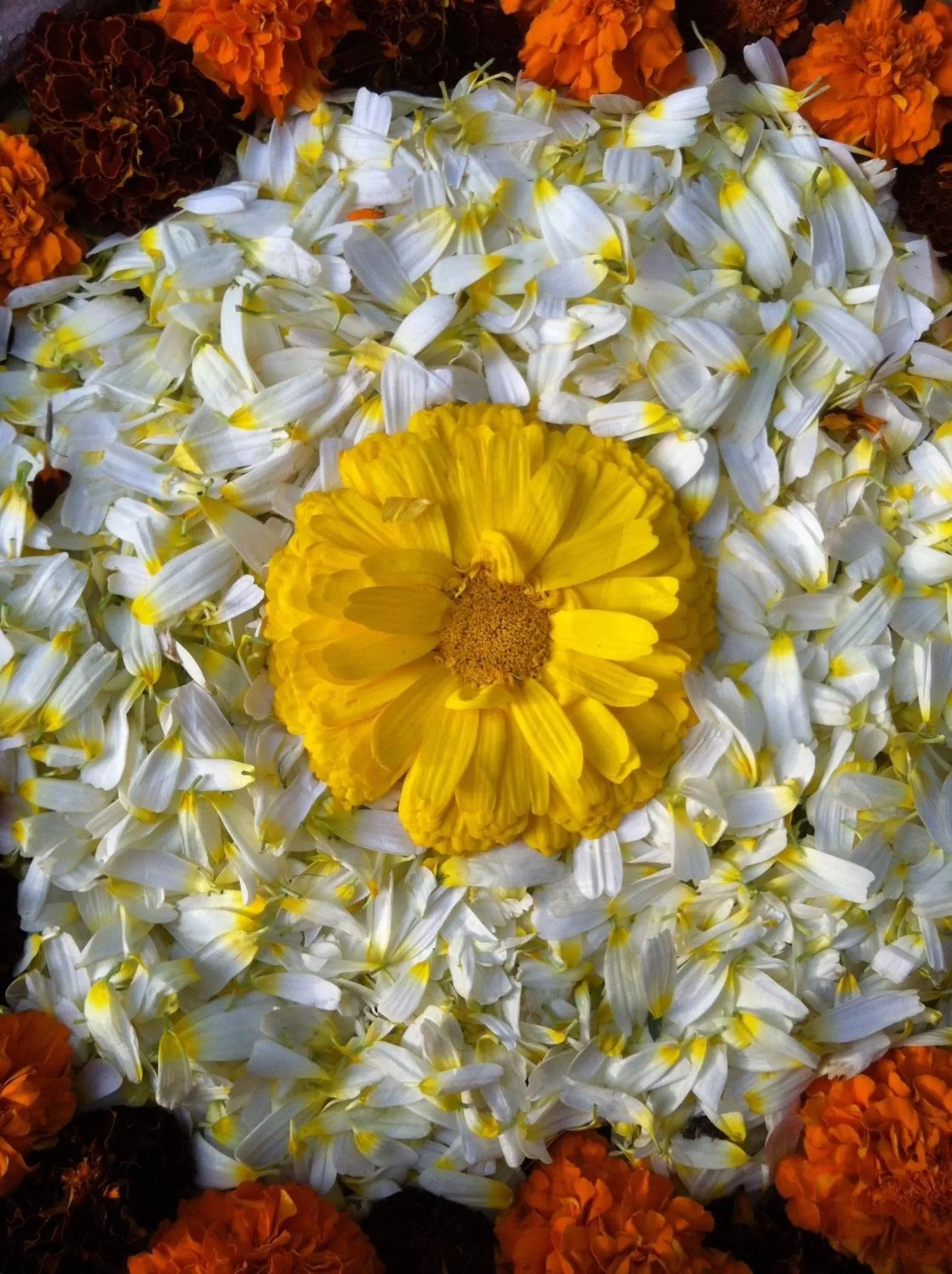 Decorative detail in B Nineteen