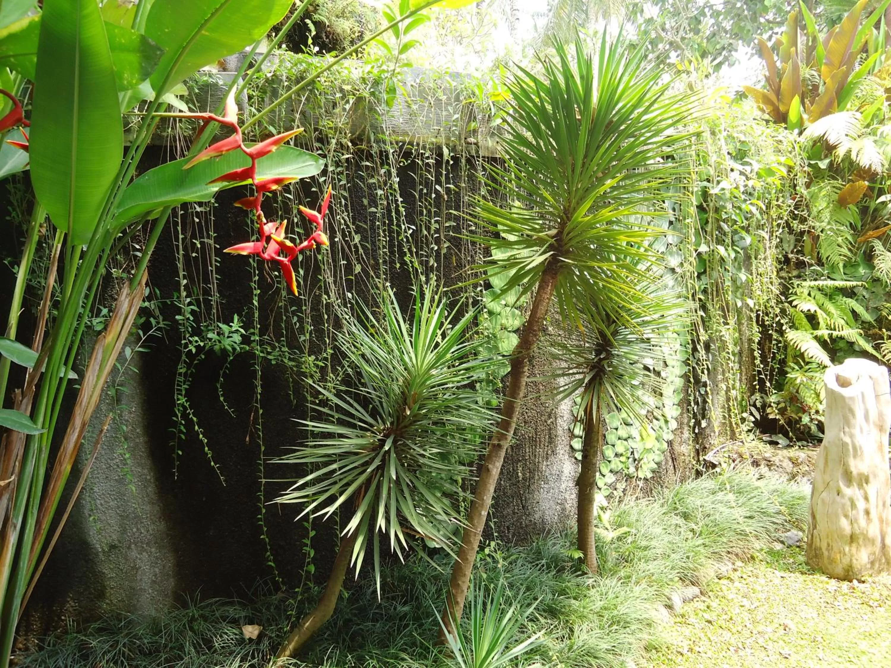 Day in Labak River Hotel by EPS