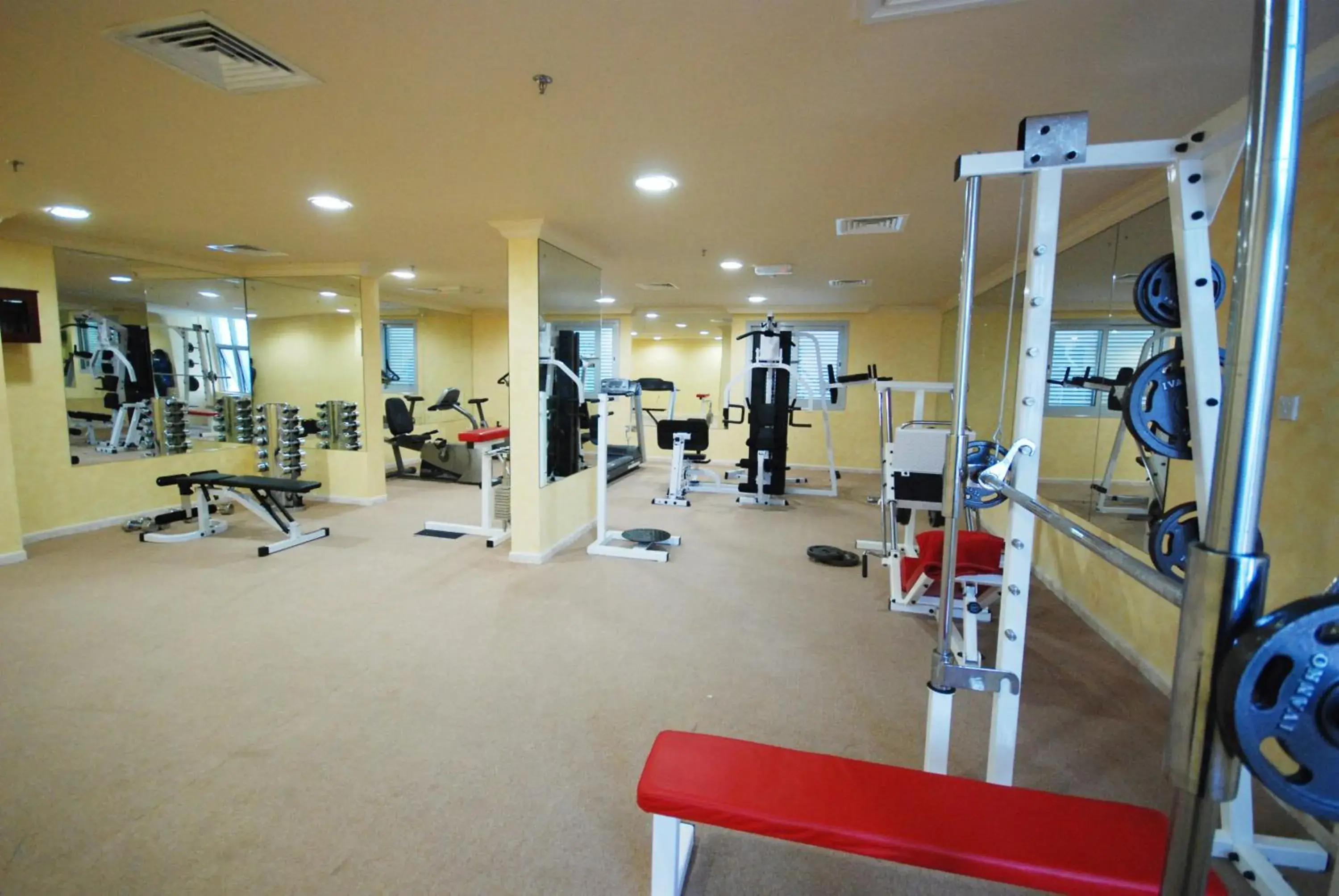 Fitness centre/facilities, Fitness Center/Facilities in Al Bustan Hotel