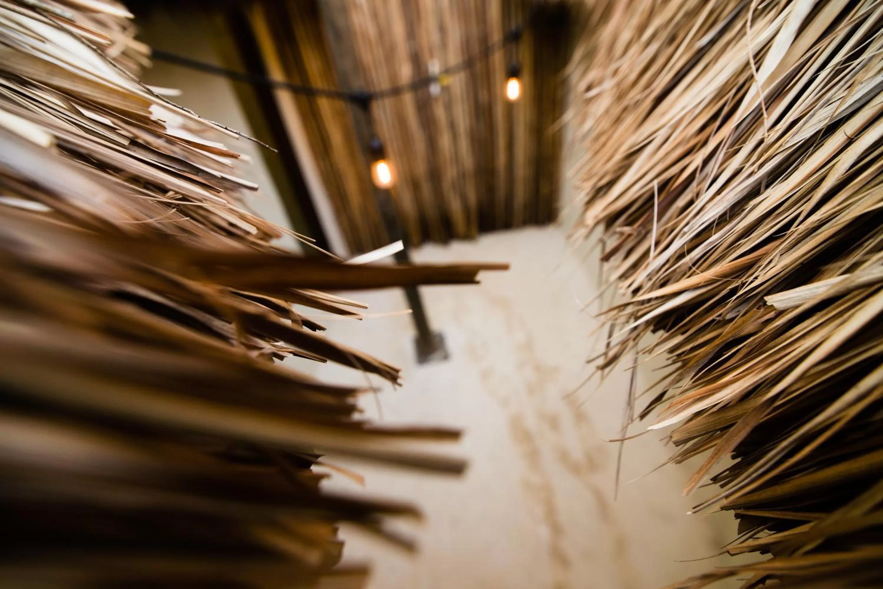 Patio in Isabella Boutique Hotel