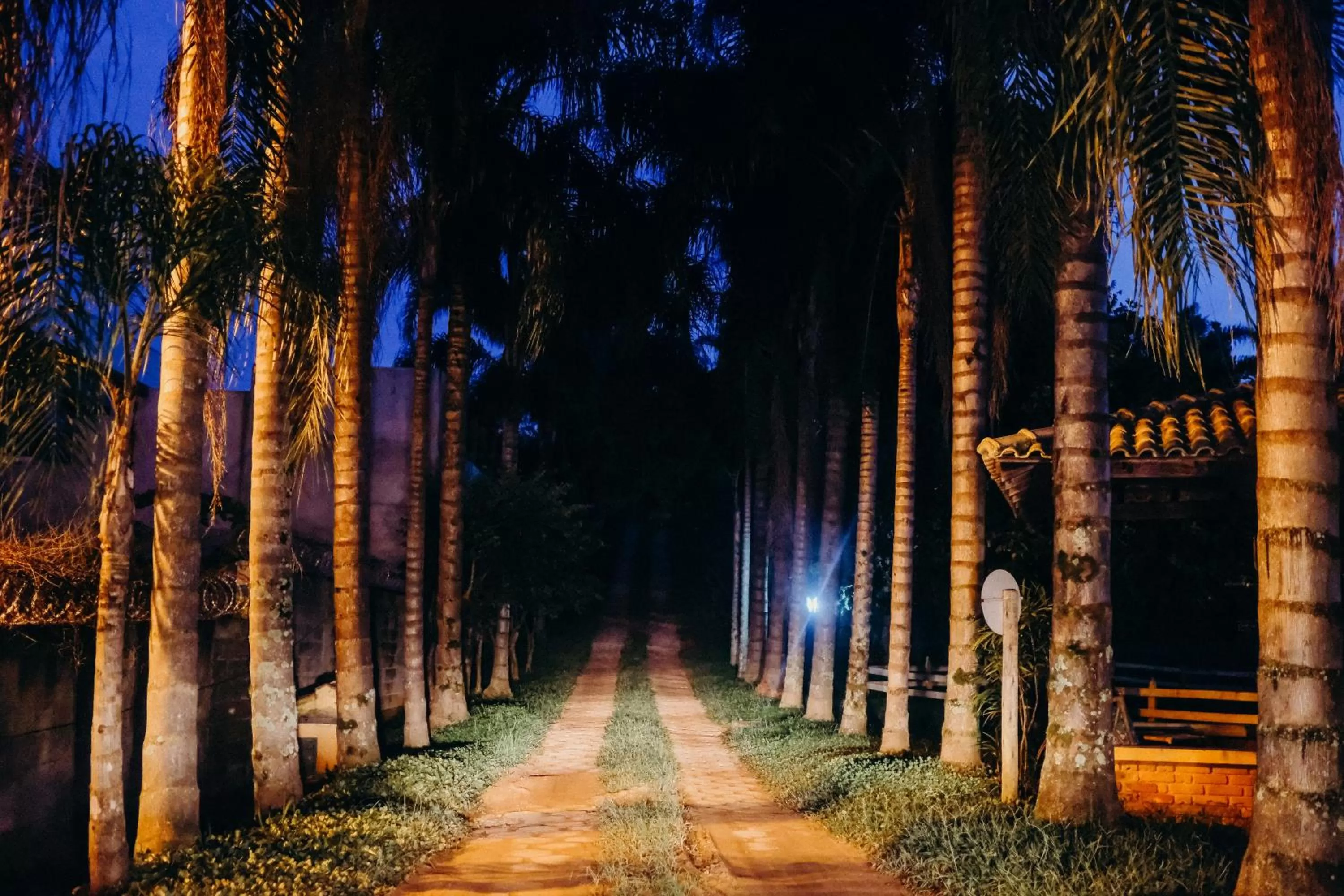 Garden in Vila Chico