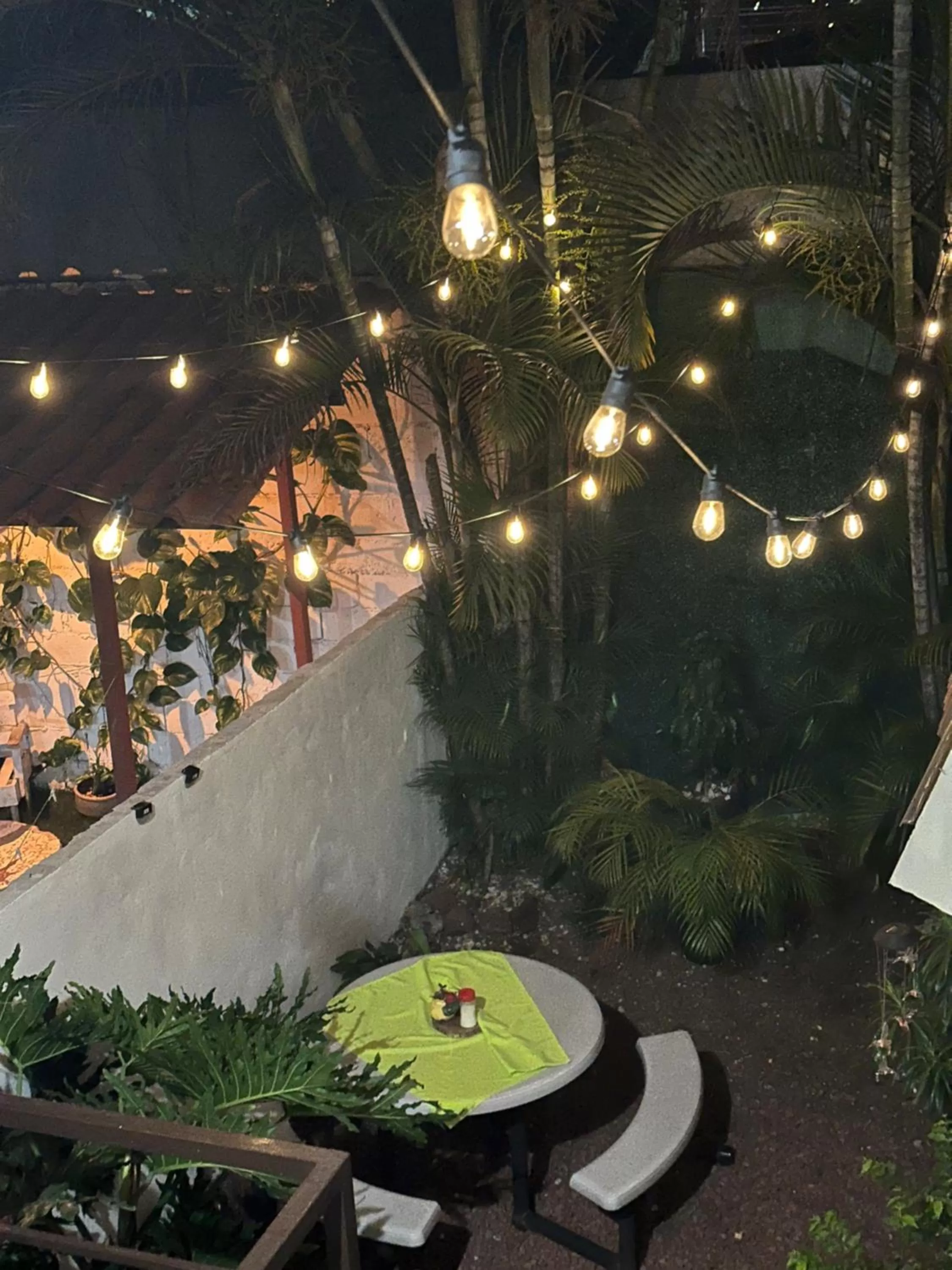 Garden in Hotel Pacande B&B