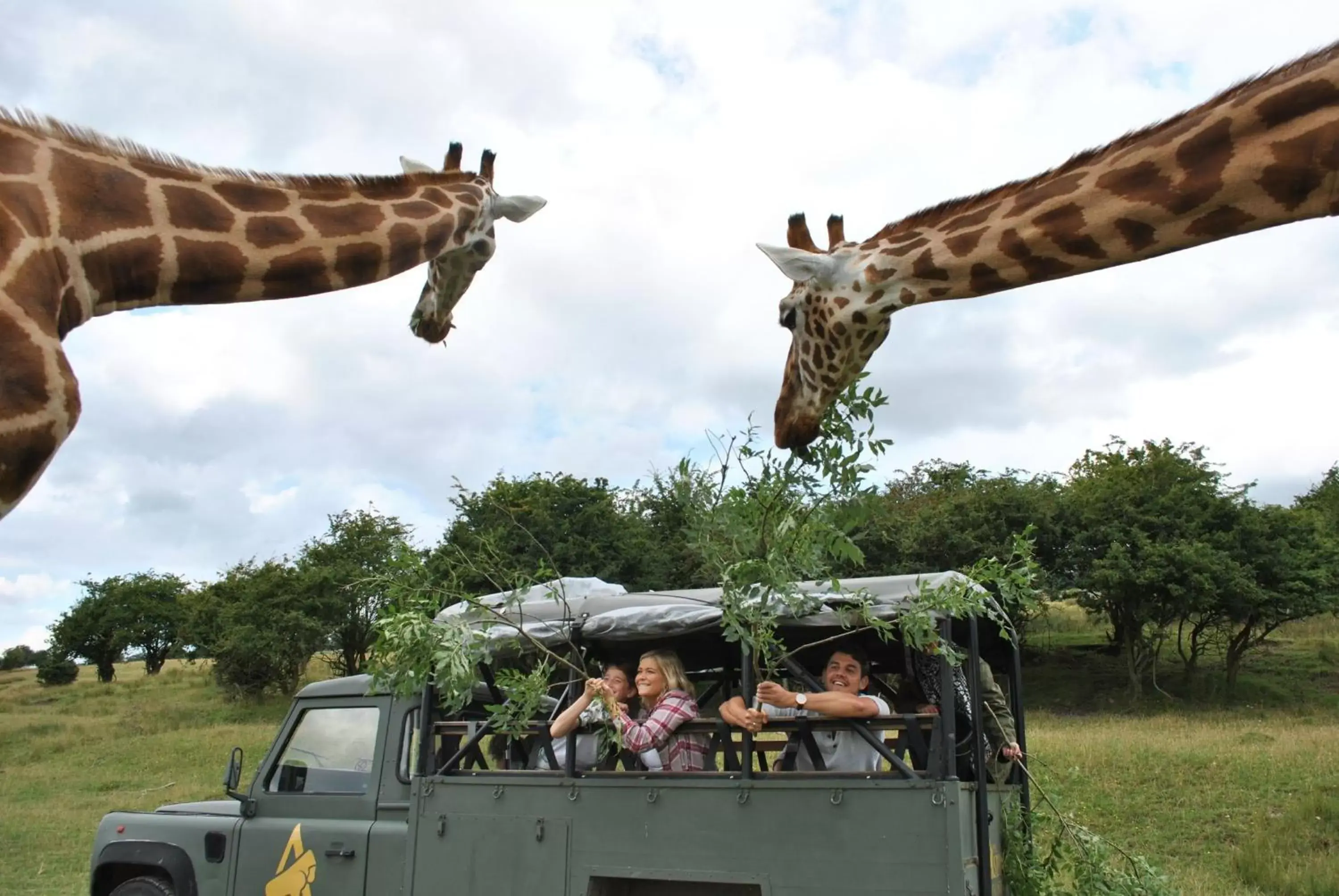 Nearby landmark, Other Animals in Holiday Inn Express Folkestone Channel Tunnel, an IHG Hotel