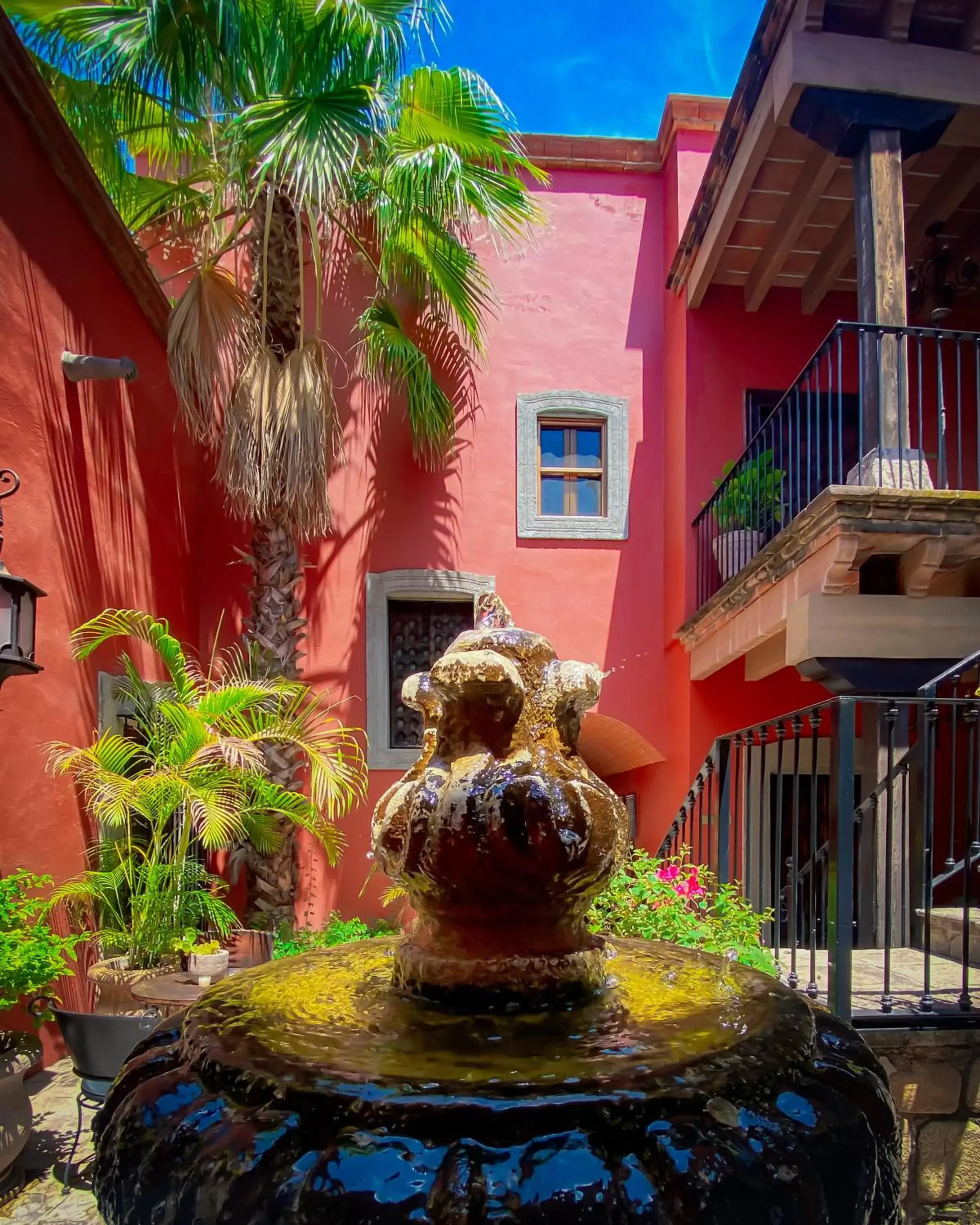 Garden in Hacienda de los Santos