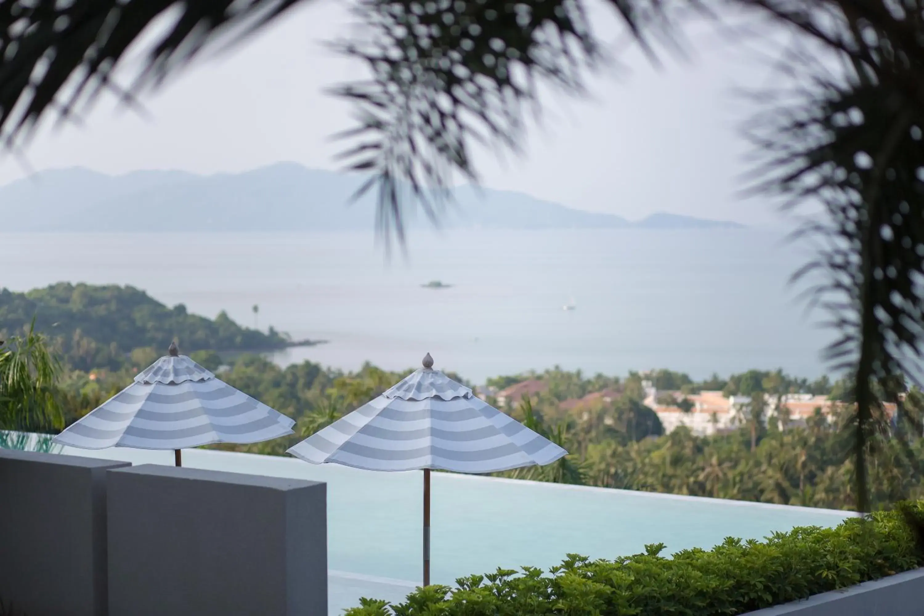 Garden view in Mantra Samui Resort - Adults Only Garden view in Mantra Samui Resort - Adults Only