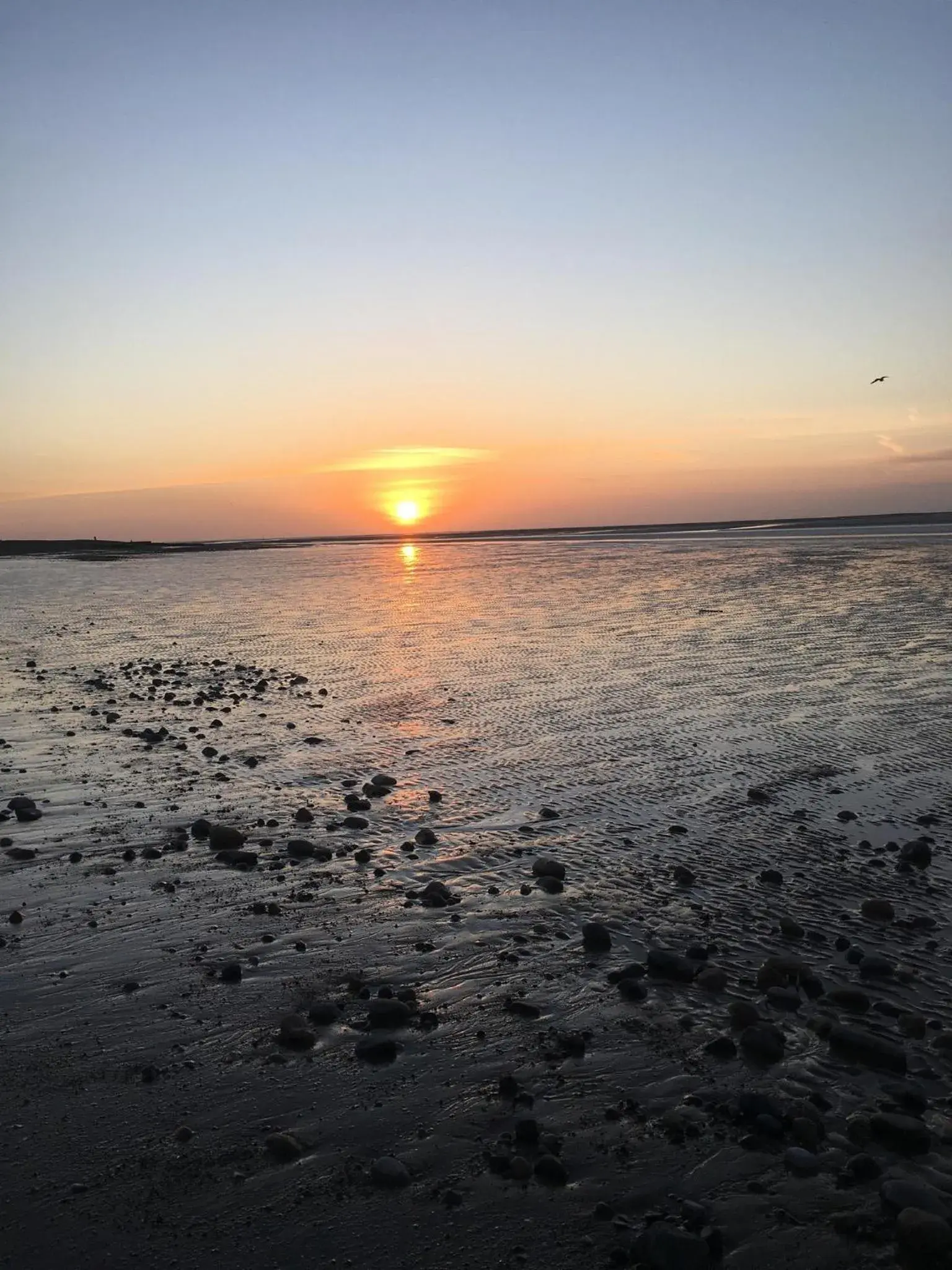 Beach, Sunrise/Sunset in Canasta Hotel