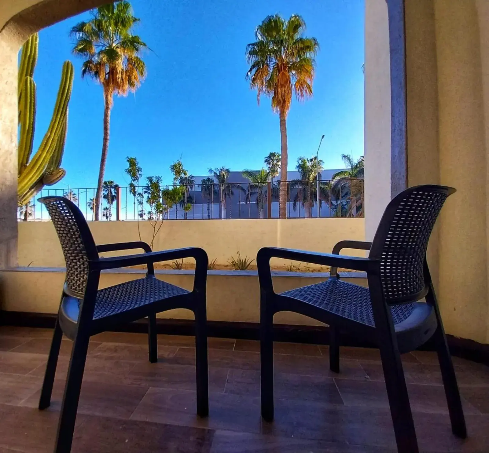 Patio, Seating Area in Hotel Santa Maria del Cabo