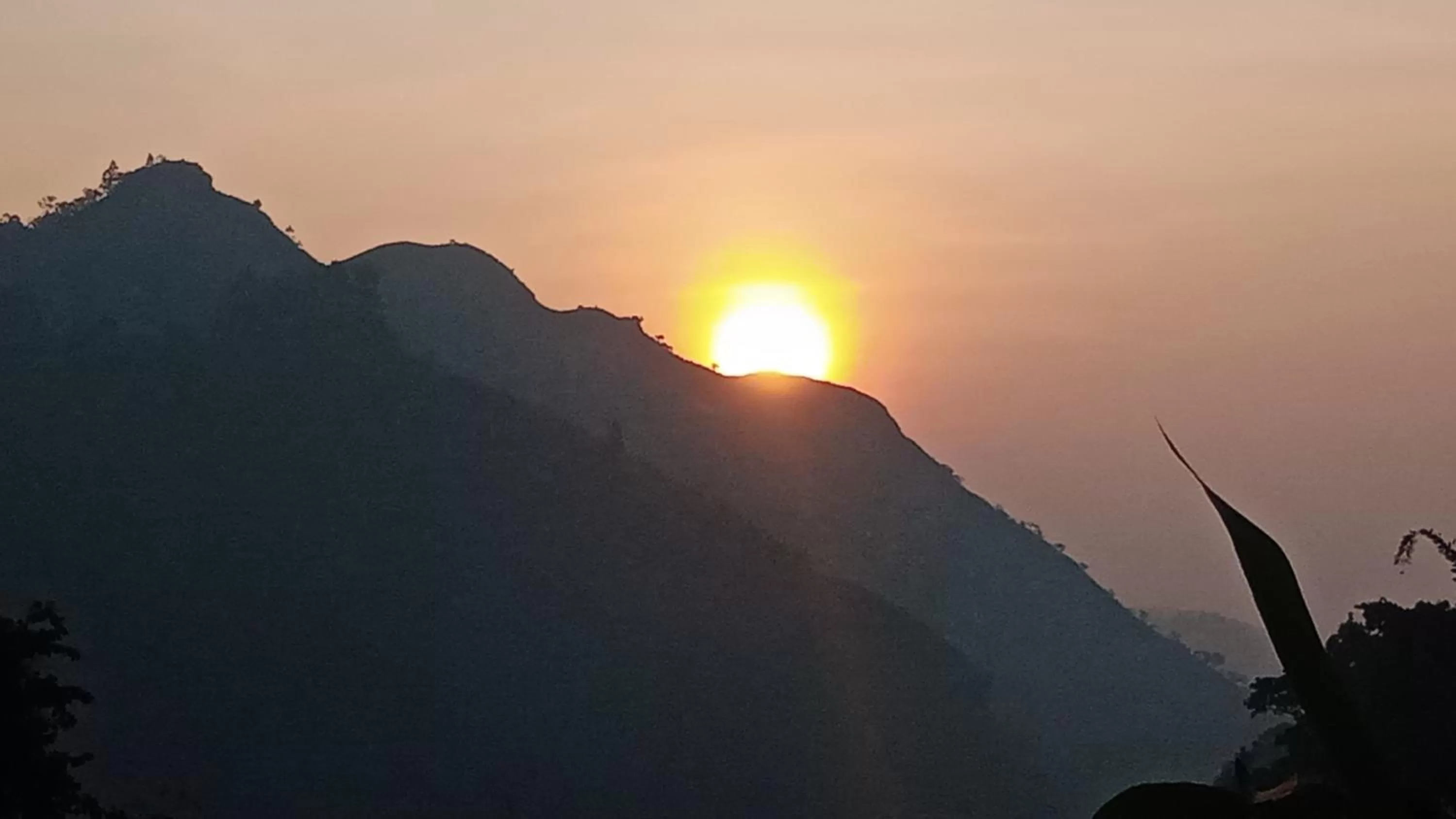 Ella Lucky Panoramic