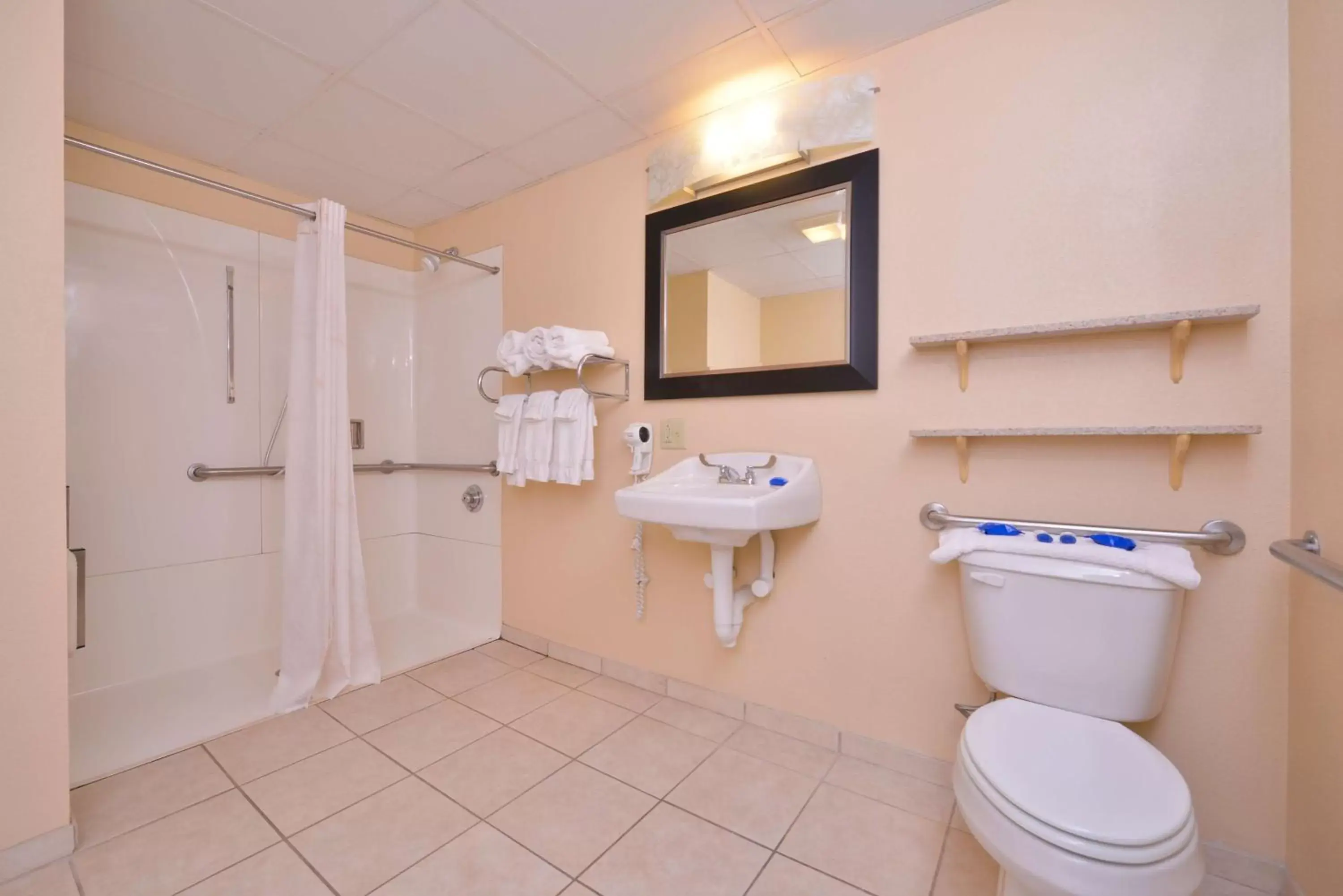 Bathroom in Best Western Williamsport Inn