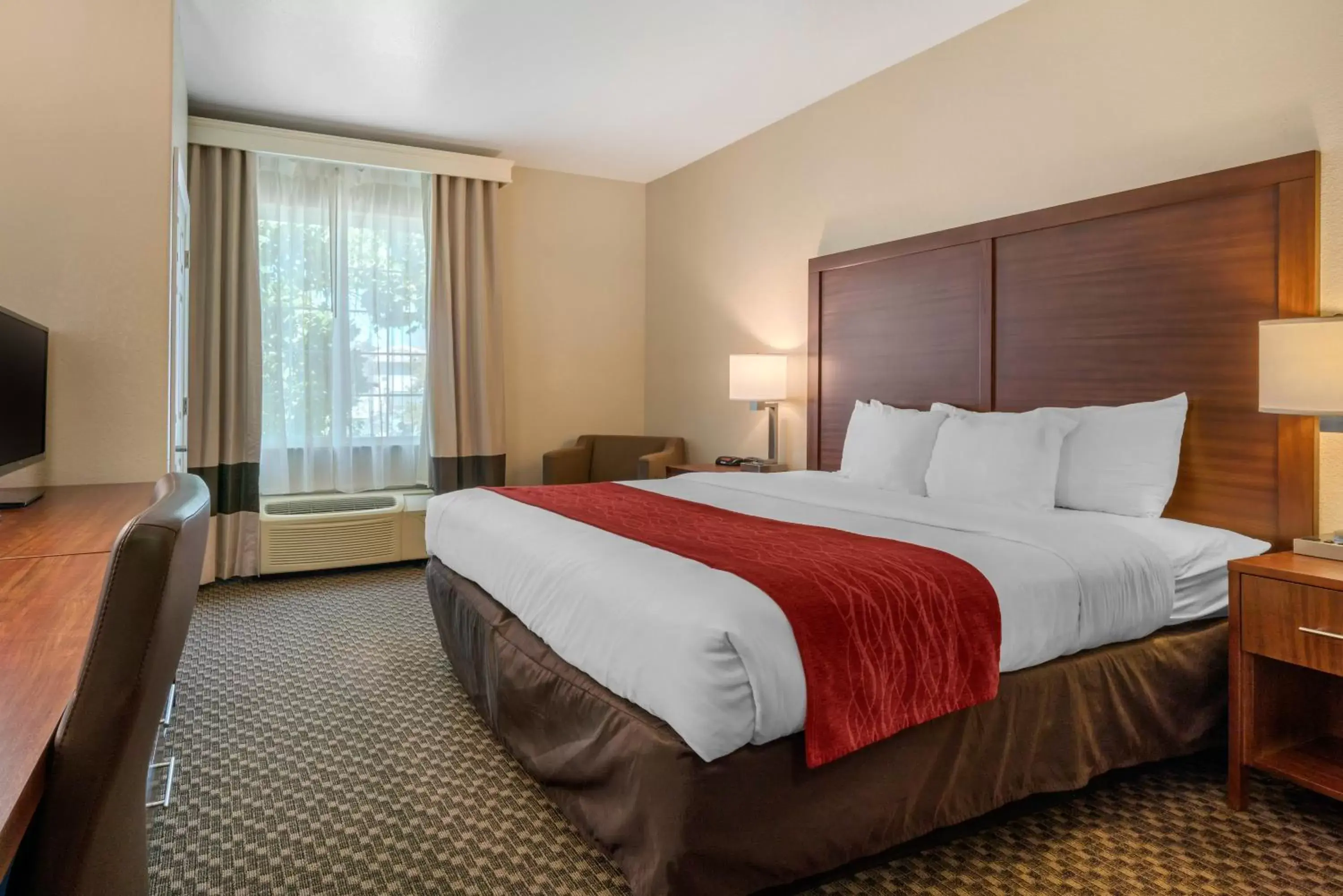King Room - Non-Smoking in Comfort Inn & Suites Galt – Lodi North