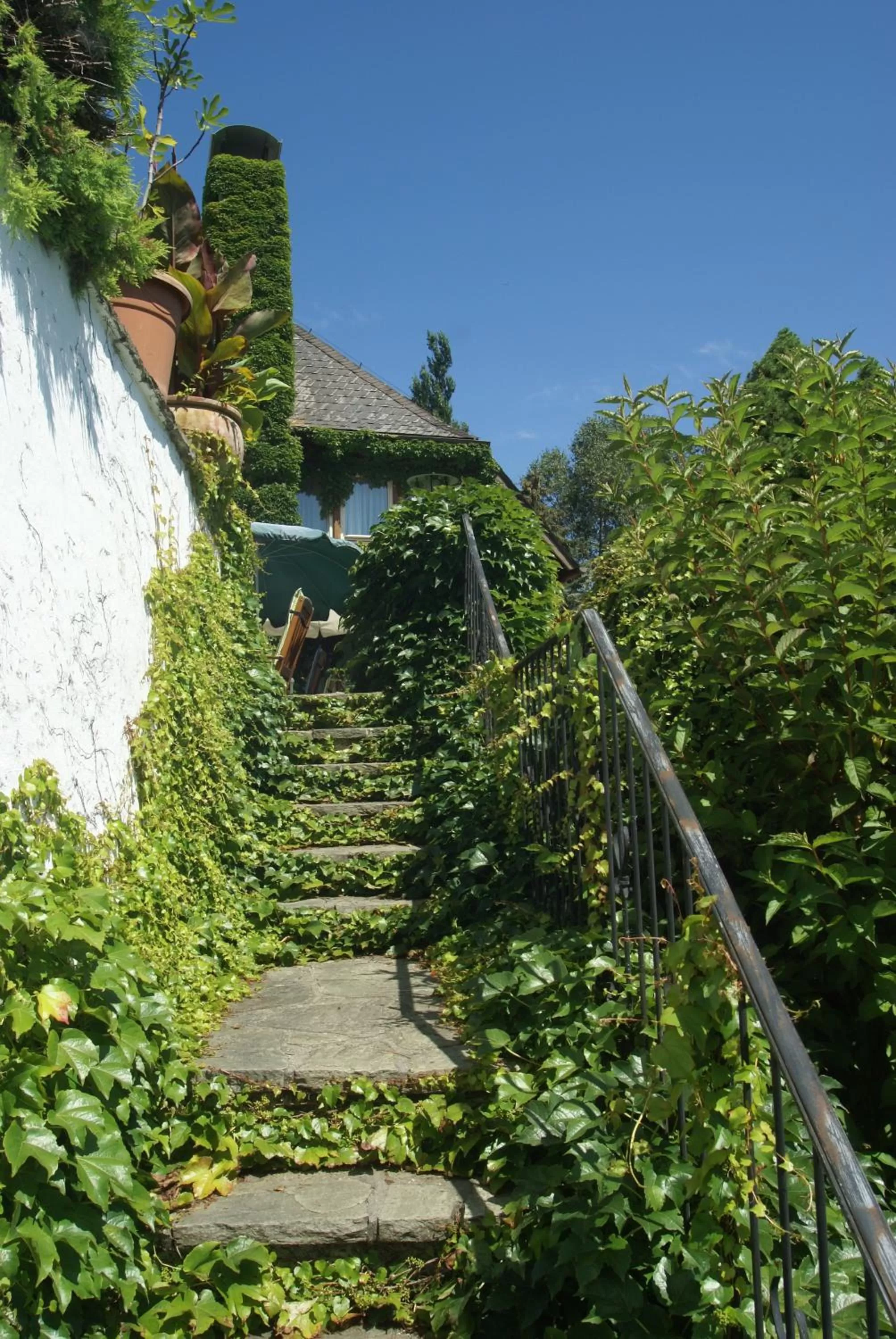 Garden in Hotel Walkner