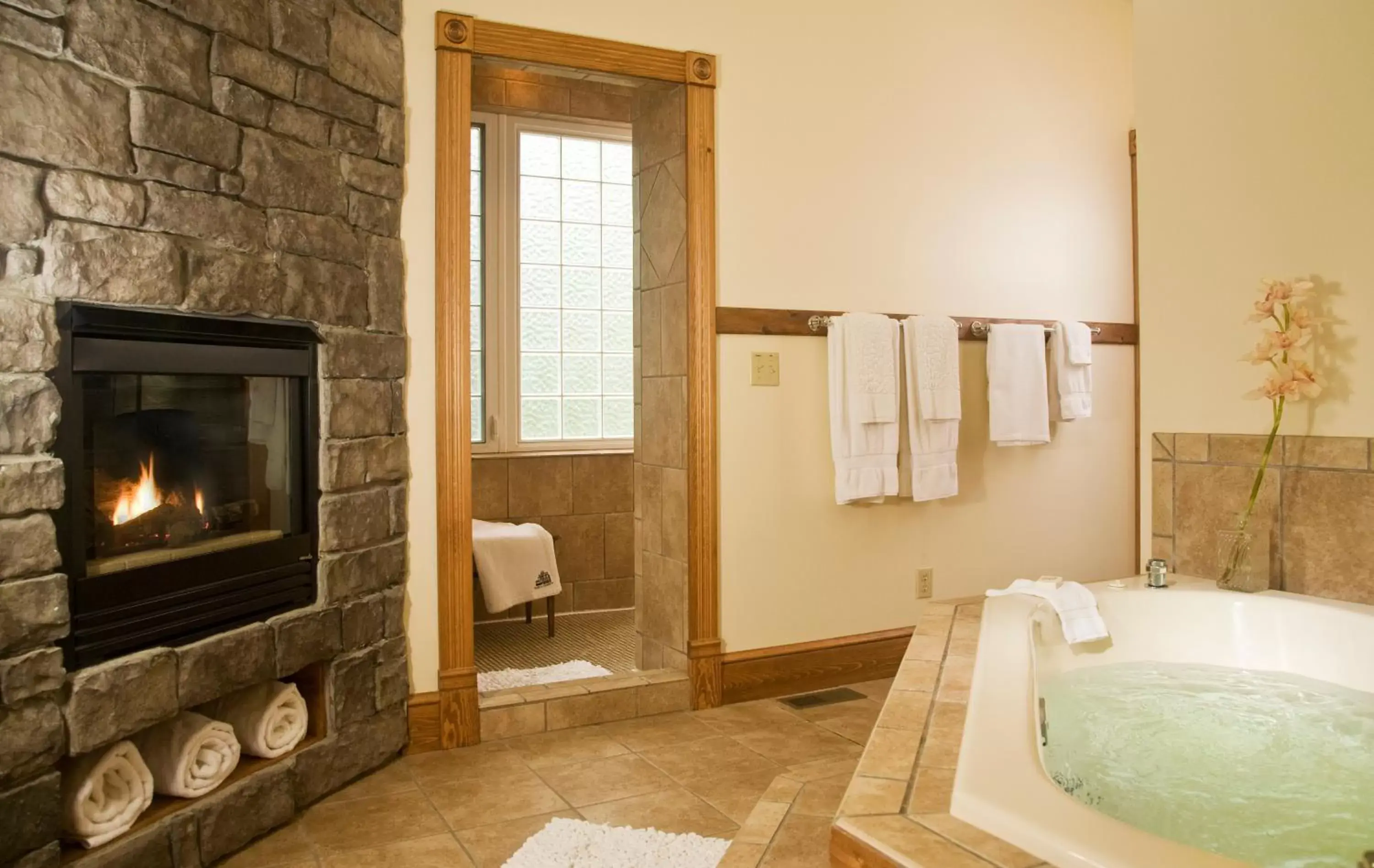 Bathroom in Garth Woodside Mansion Bed and Breakfast