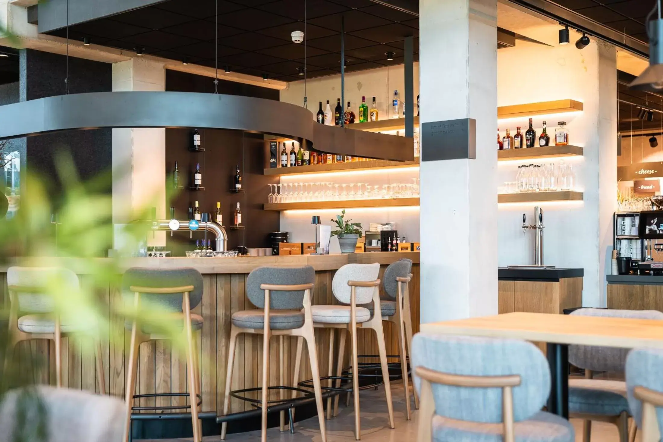 Lounge or bar, Lounge/Bar in Hotel Rosveld