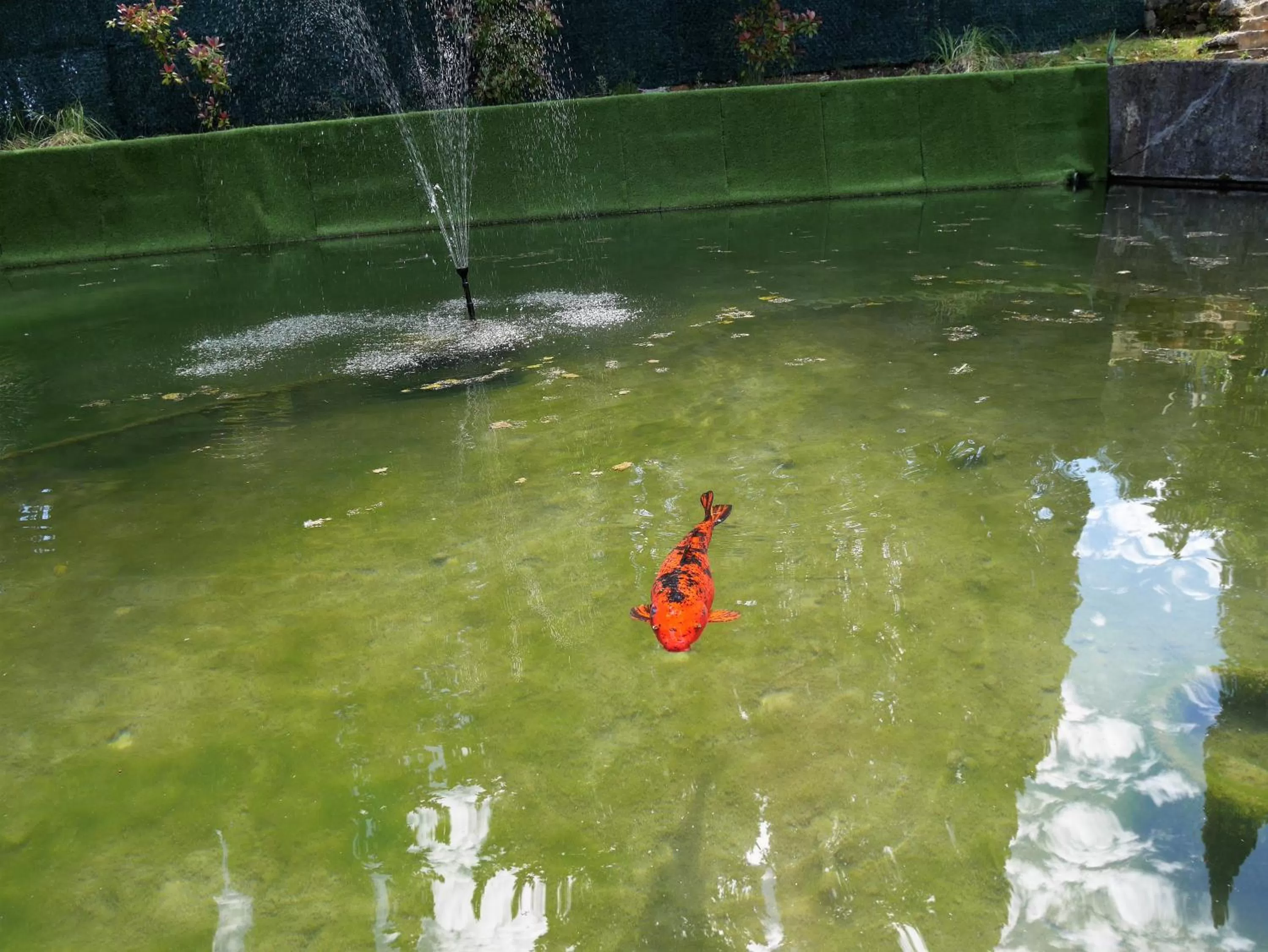 Property building in Le Mas des Oliviers