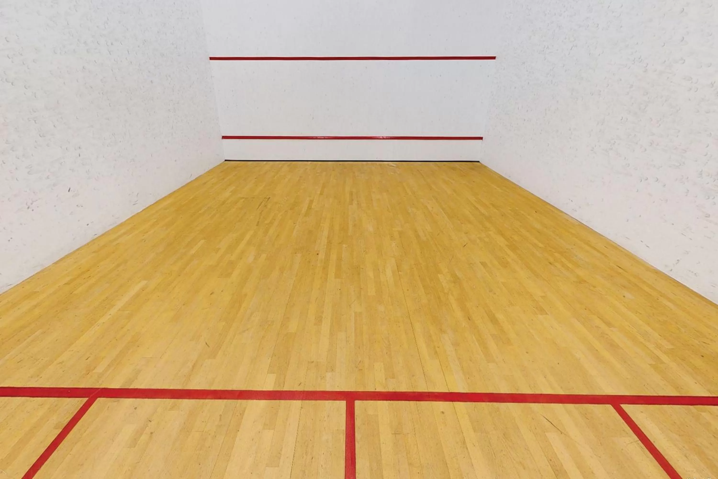 Squash in Village Hotel Birmingham Dudley