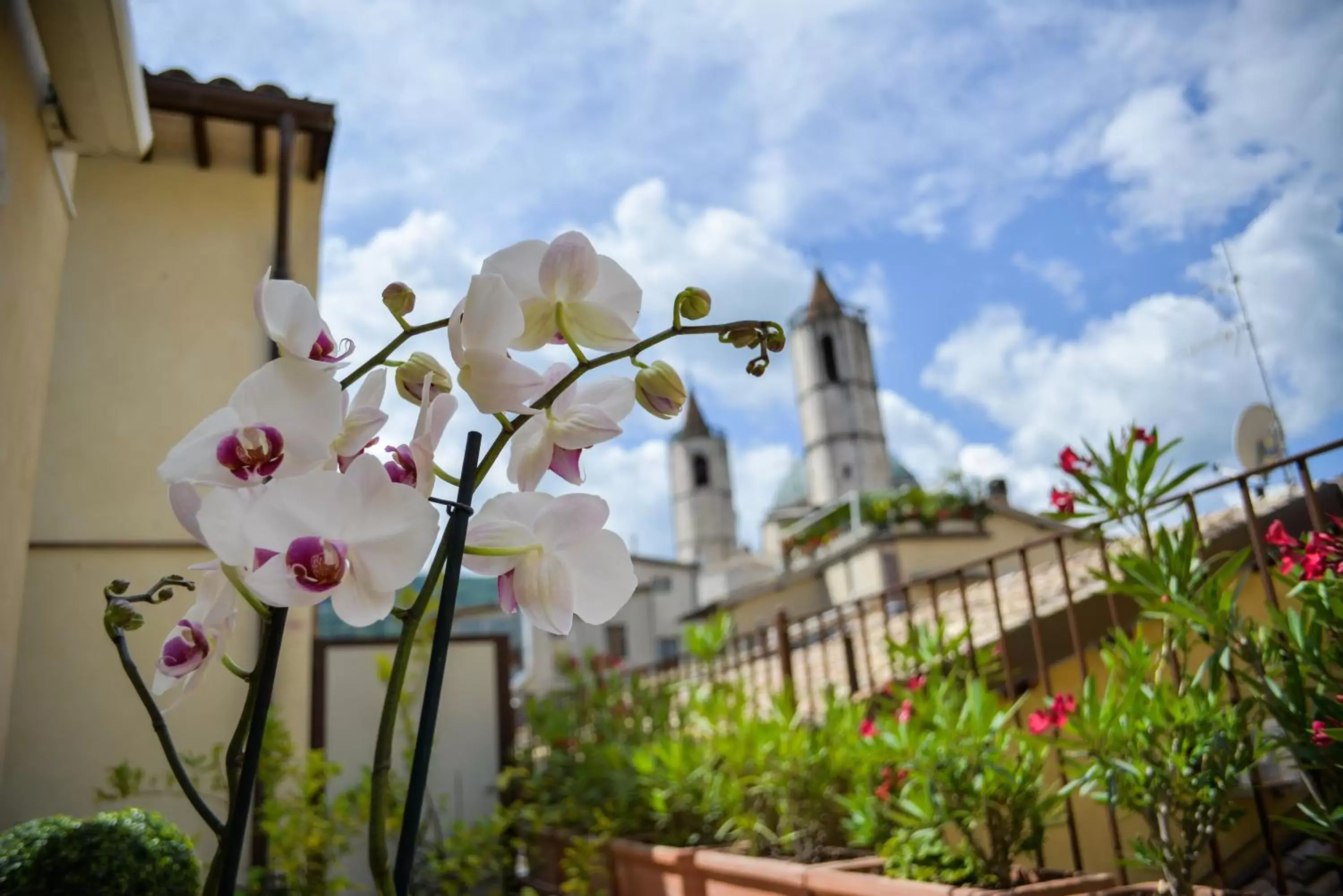 Balcony/Terrace, Property Building in Di Sabatino Resort - Suite Apartments & Spa