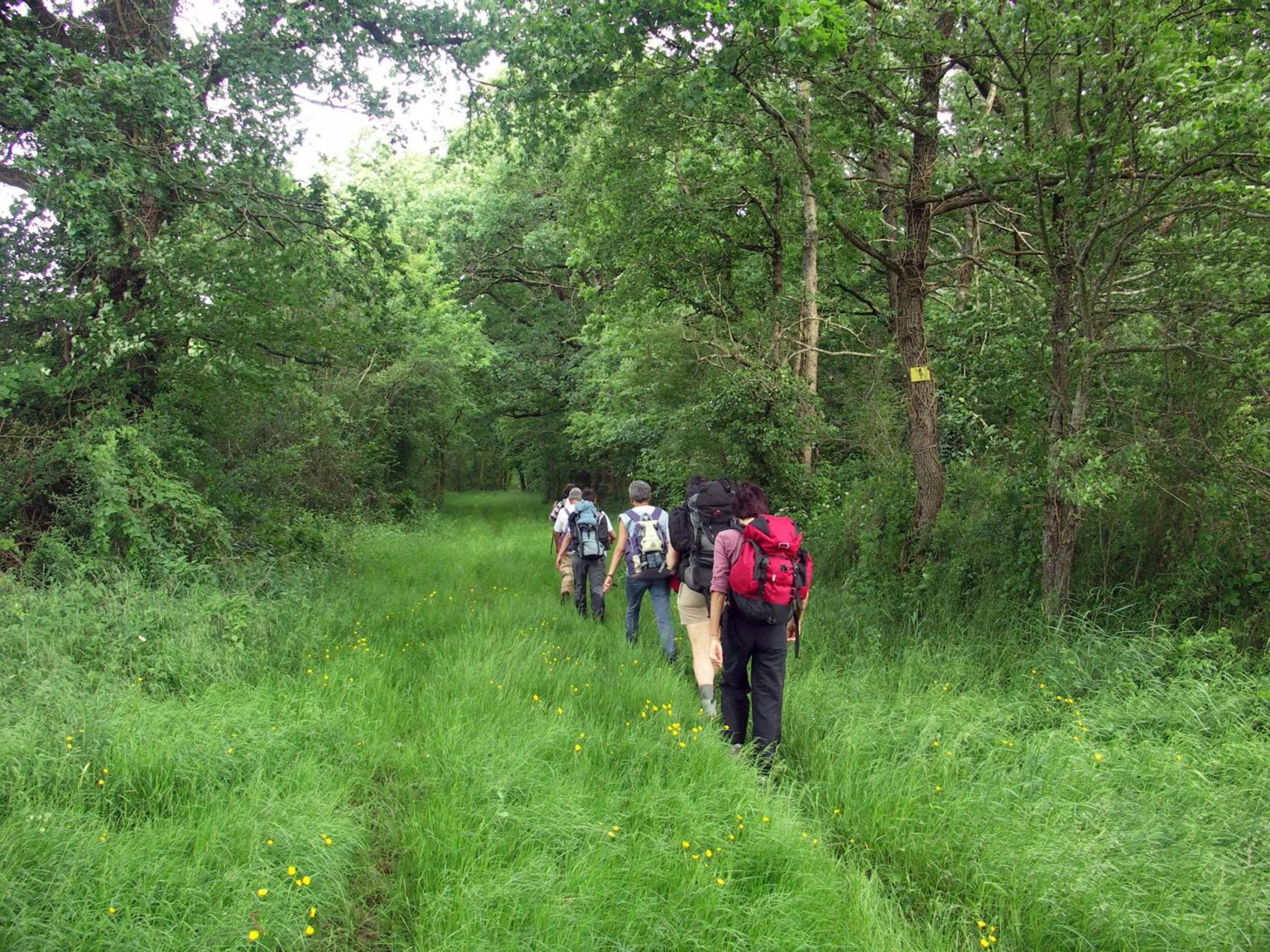 Activities in Logis Les Loges du Parc