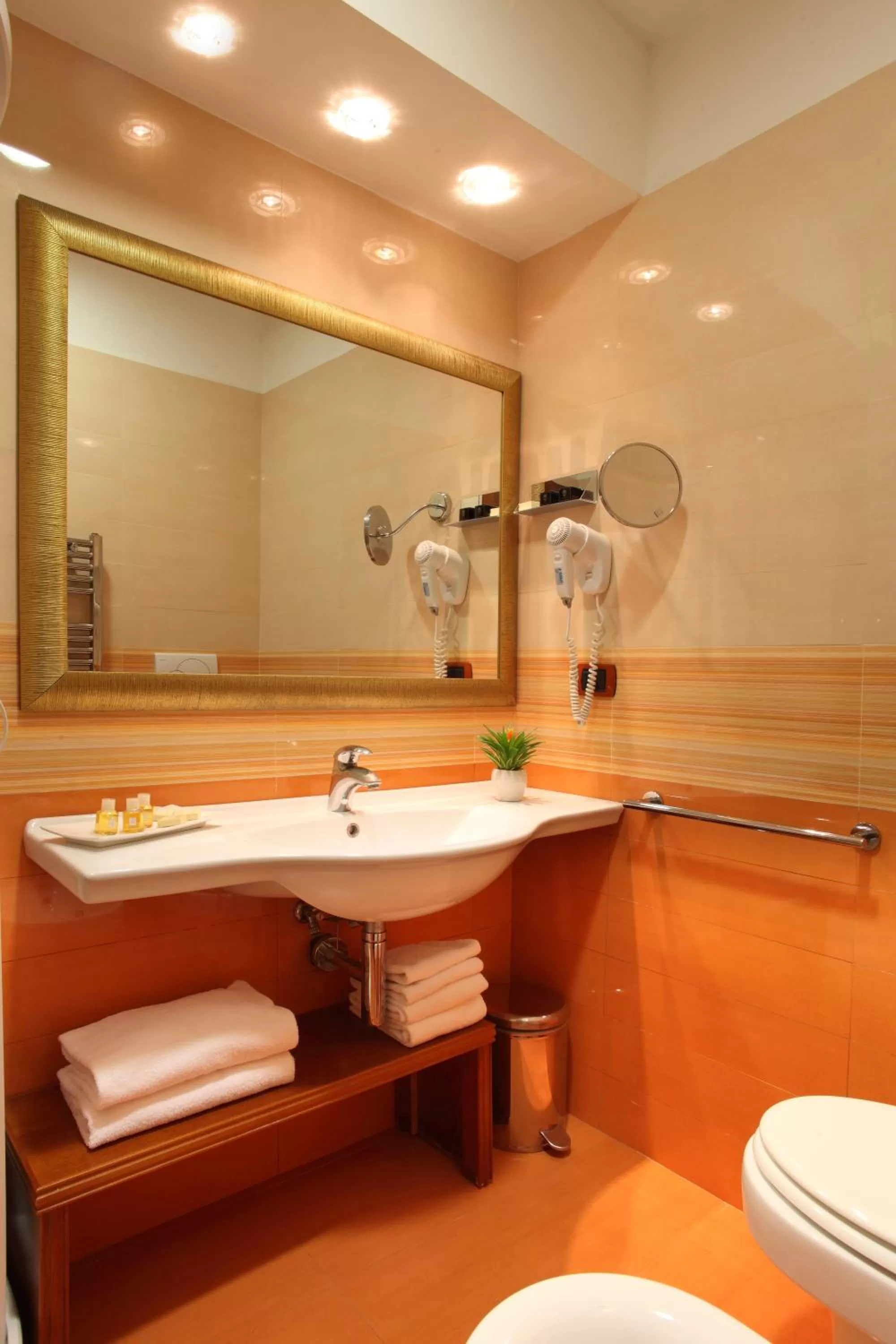 Bathroom in Hotel Serena srl