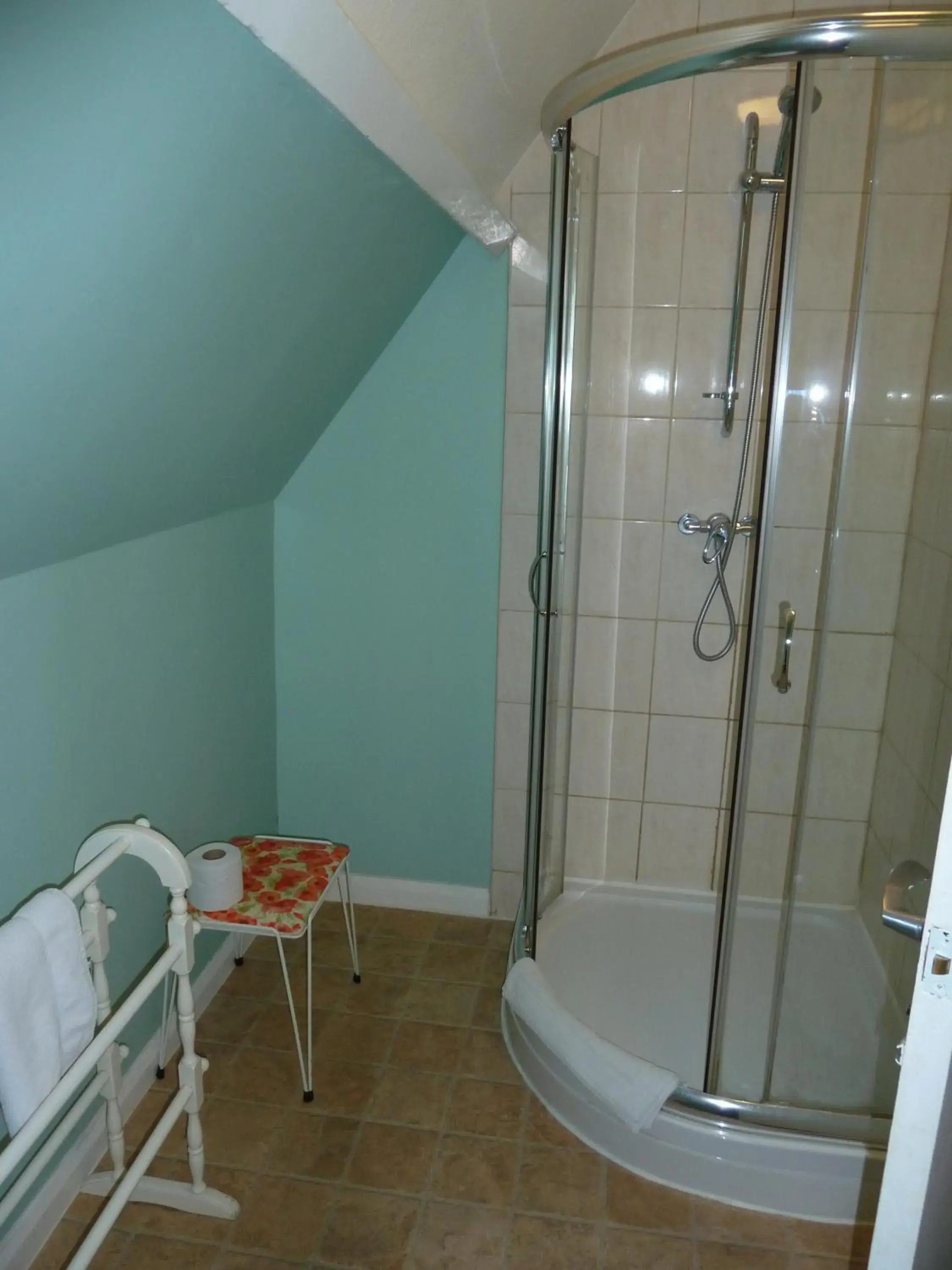 Shower, Bathroom in Tregonholme Hotel