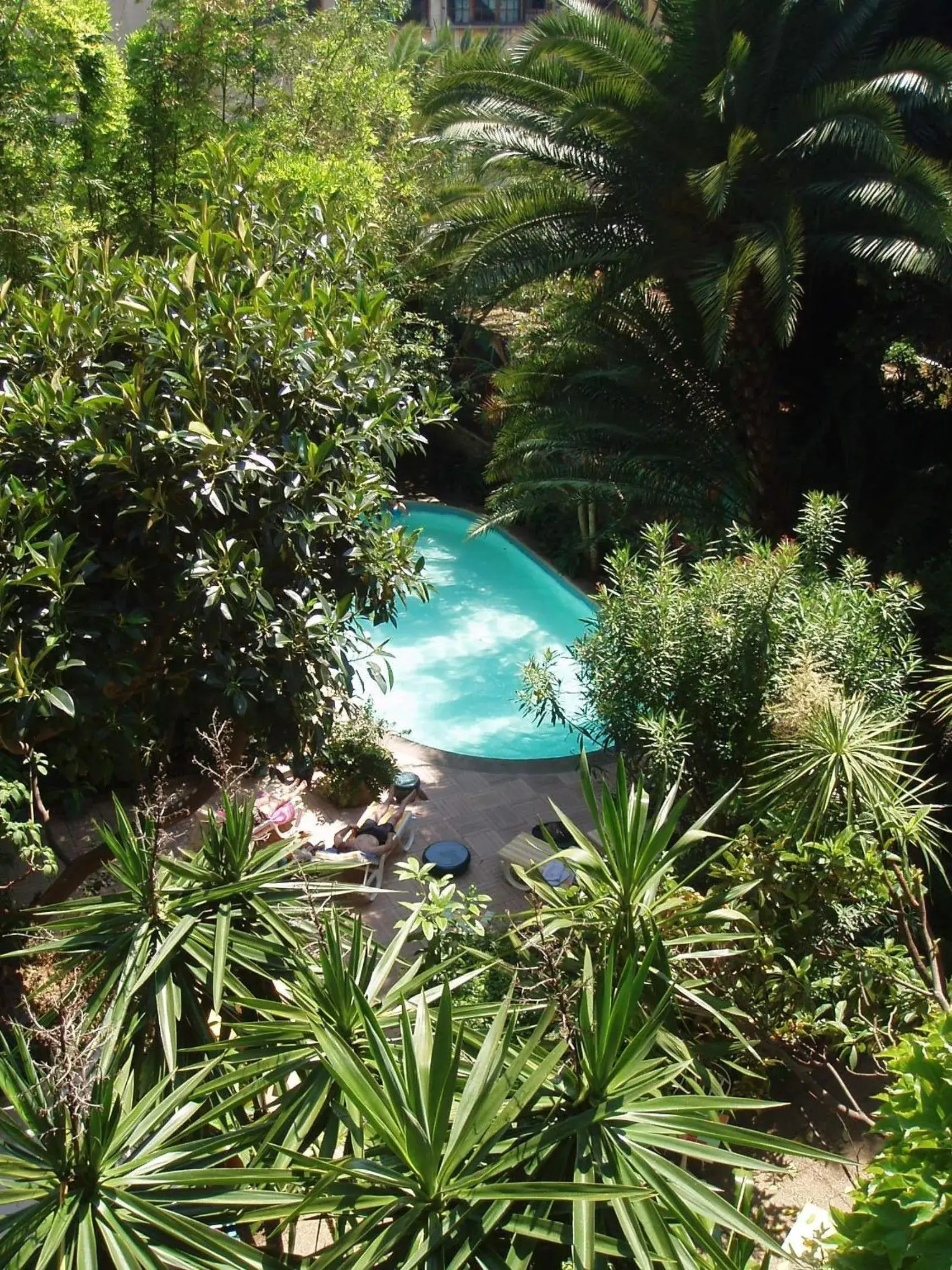 Garden, Pool View in Le Windsor, Jungle Art Hotel